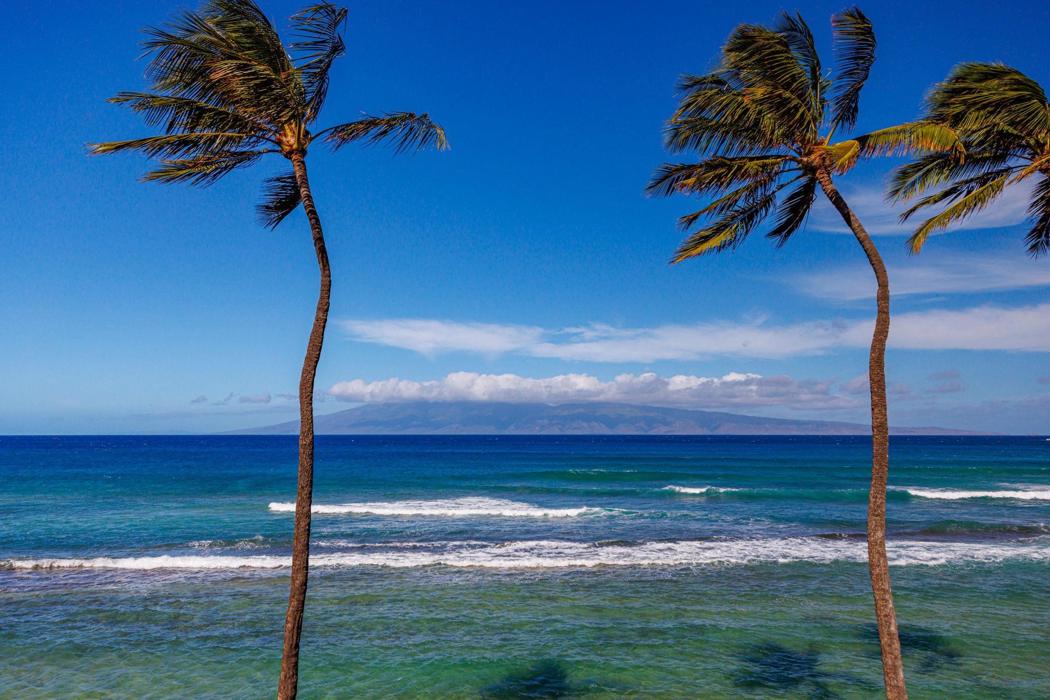 Papakea Resort I II condo # F303, Lahaina, Hawaii - photo 2 of 20