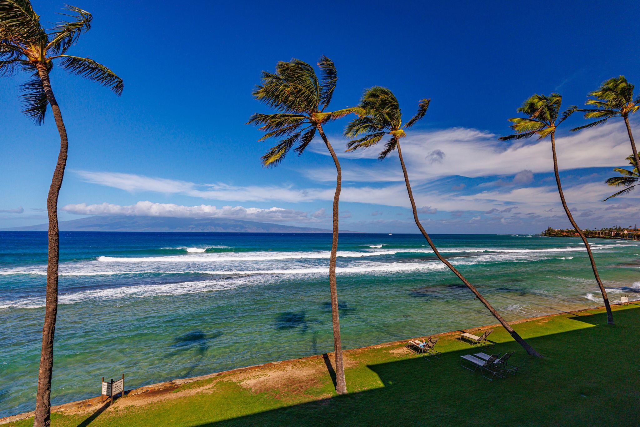 Papakea Resort I II condo # F303, Lahaina, Hawaii - photo 11 of 20