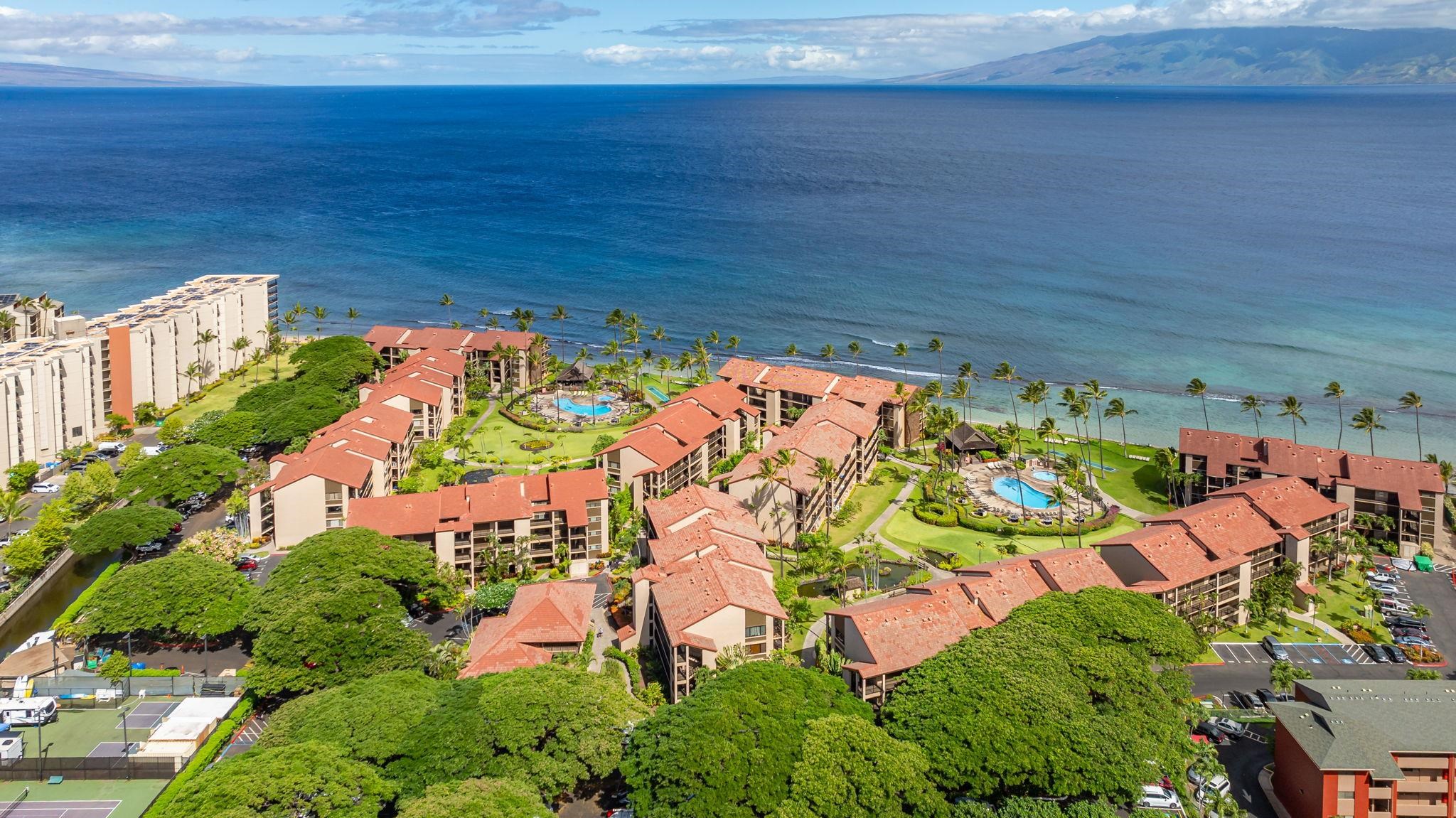 Papakea Resort I II condo # F303, Lahaina, Hawaii - photo 18 of 20