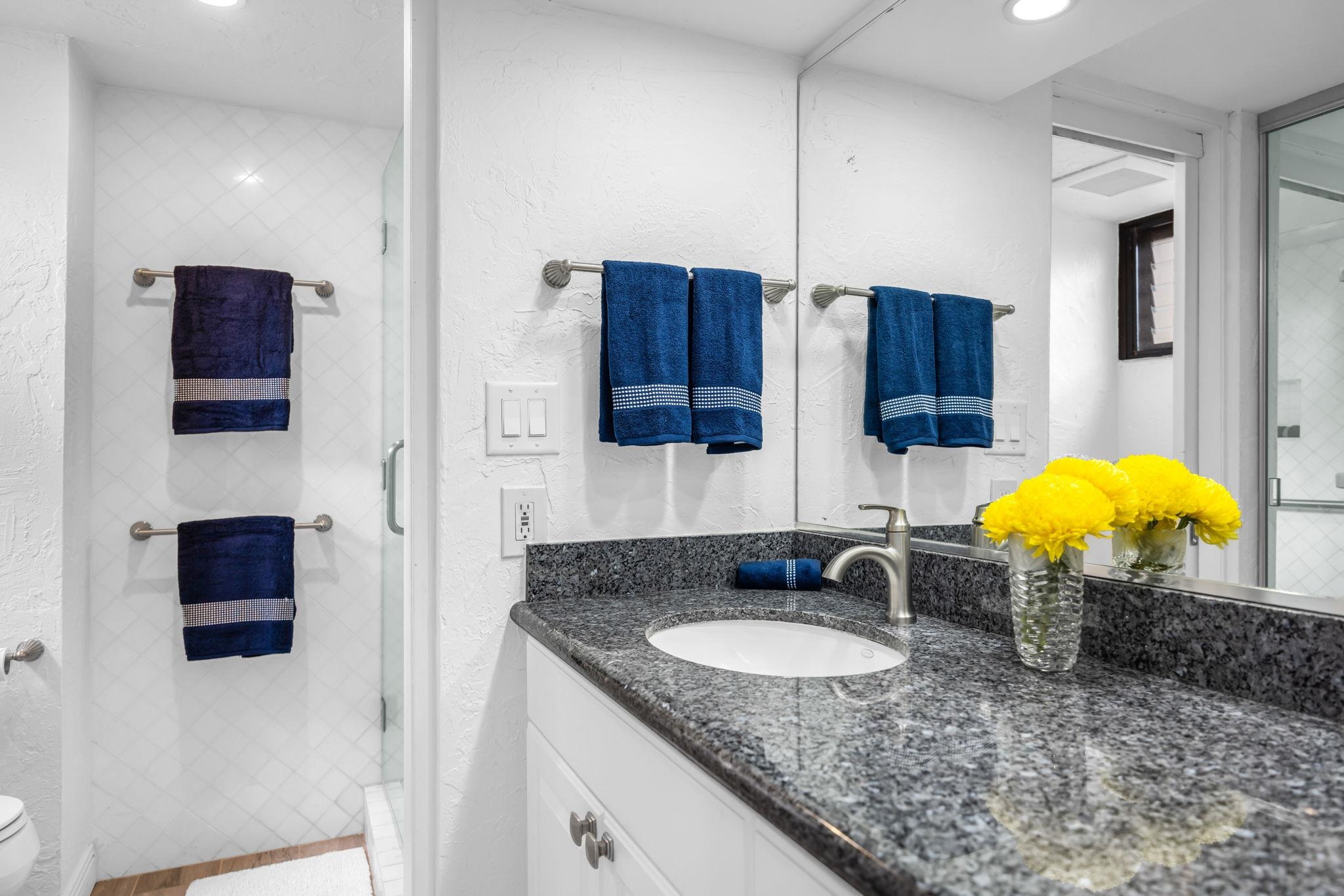 Papakea Resort I II condo # F303, Lahaina, Hawaii - photo 6 of 20