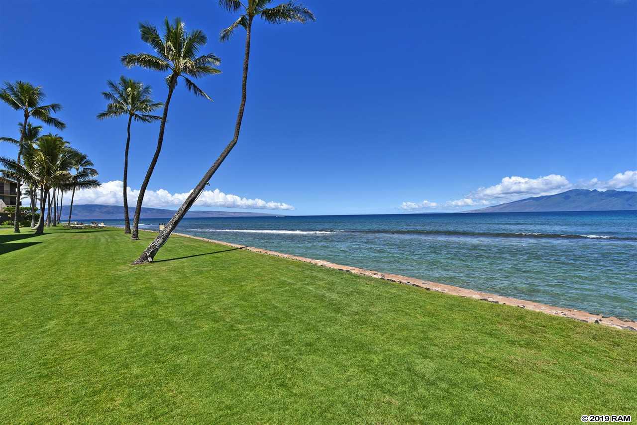 Papakea Resort I II condo # F306, Lahaina, Hawaii - photo 28 of 29