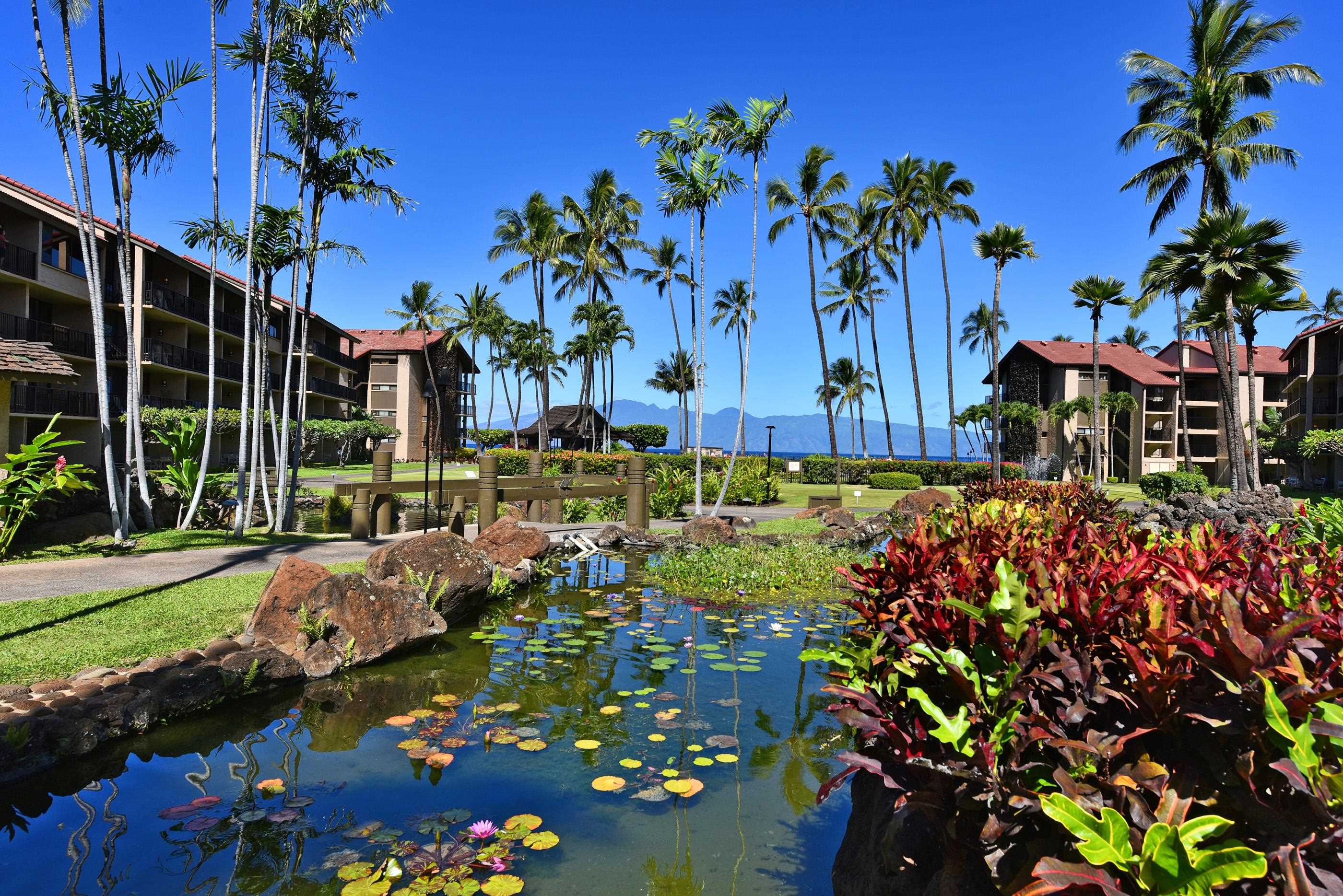 Papakea Resort I II condo # F-407, Lahaina, Hawaii - photo 29 of 30