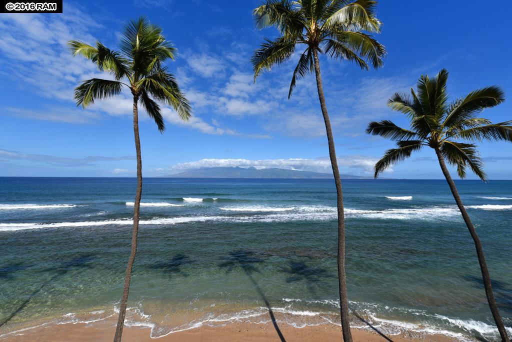 Papakea Resort I II condo # F 408, Lahaina, Hawaii - photo 14 of 19