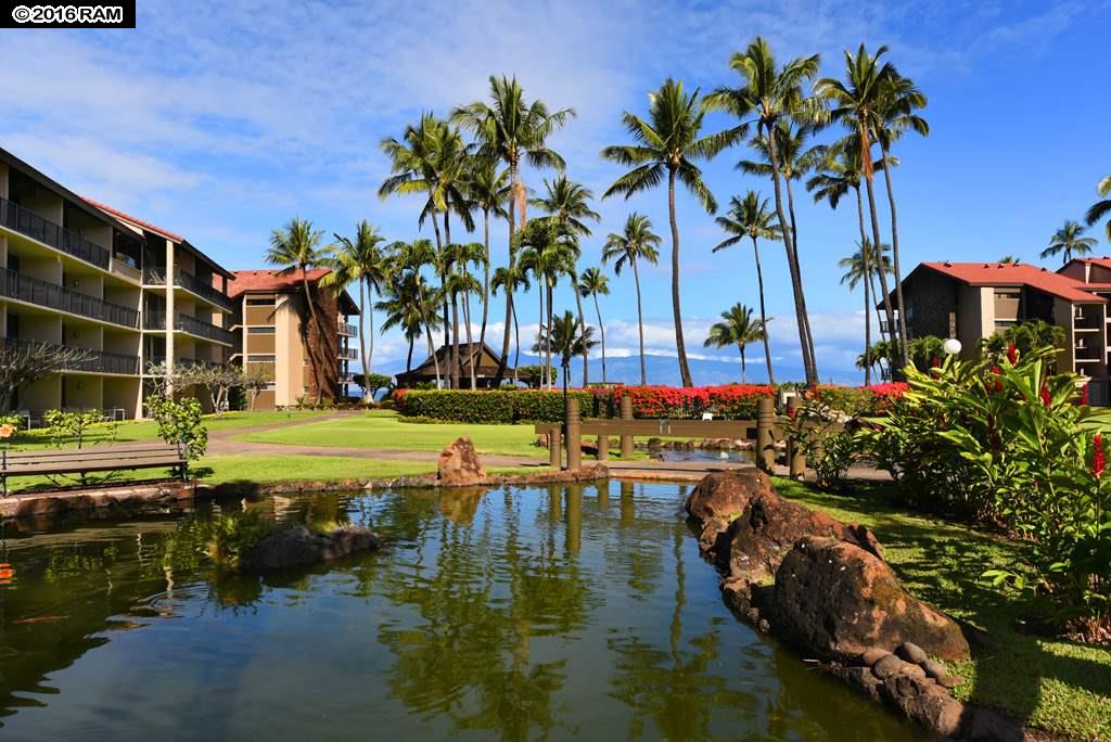 Papakea Resort I II condo # F 408, Lahaina, Hawaii - photo 16 of 19