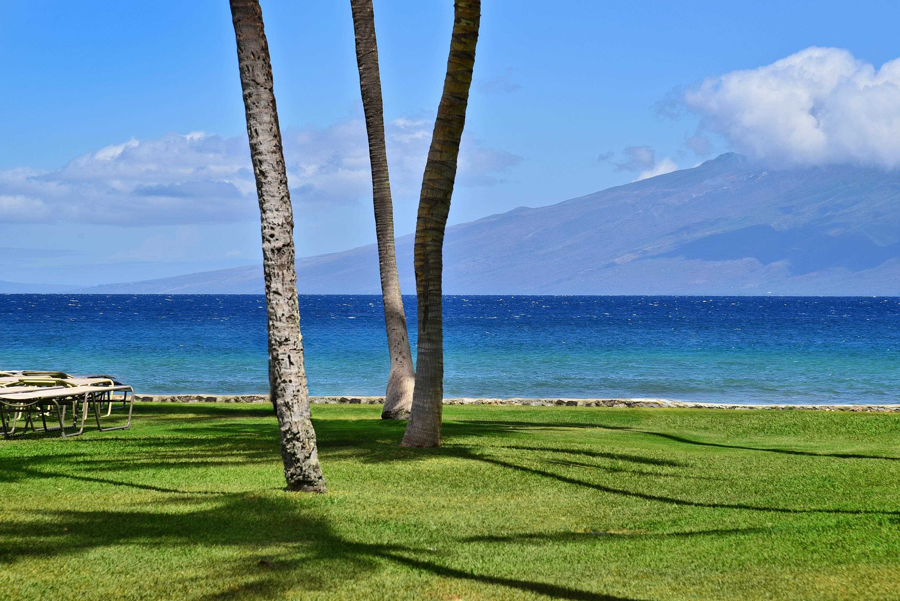 Papakea Resort I II condo # G107, Lahaina, Hawaii - photo 38 of 50