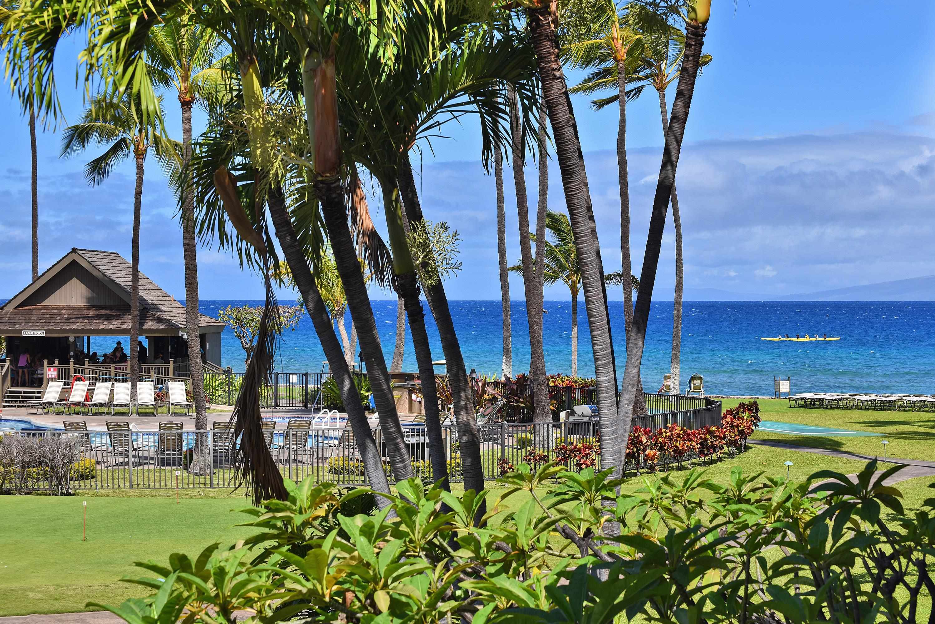 Papakea Resort I II condo # G201, Lahaina, Hawaii - photo 27 of 44