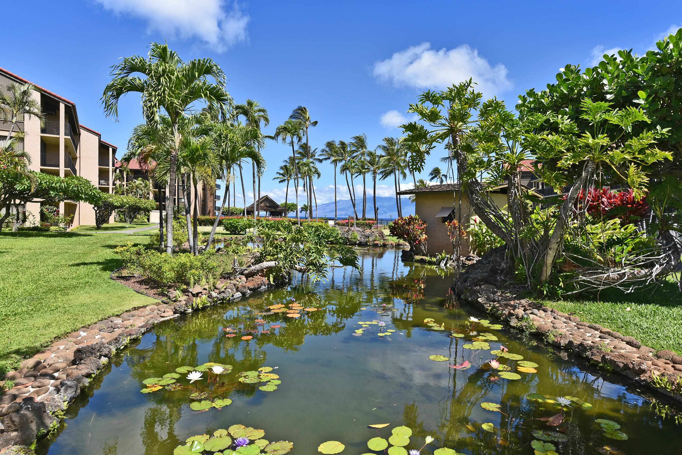 Papakea Resort I II condo # G201, Lahaina, Hawaii - photo 34 of 44