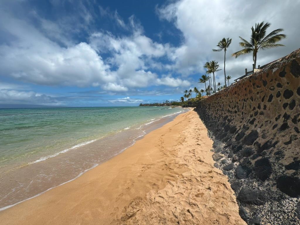 Papakea Resort I II condo # G206, Lahaina, Hawaii - photo 23 of 26