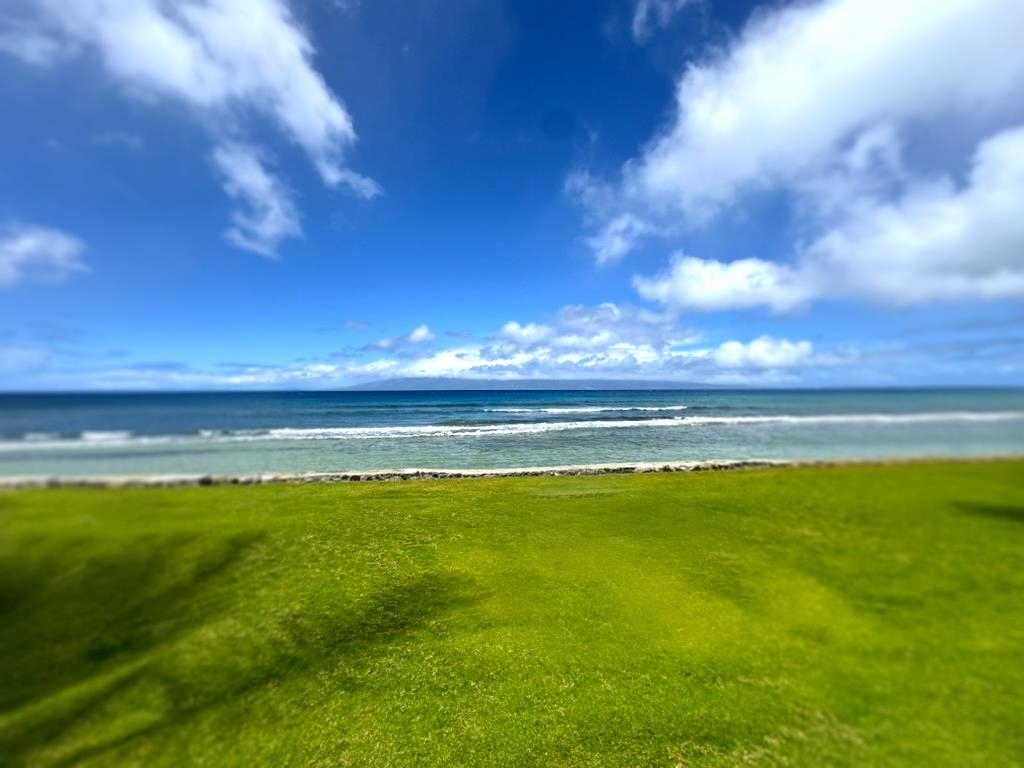 Papakea Resort I II condo # G206, Lahaina, Hawaii - photo 24 of 26