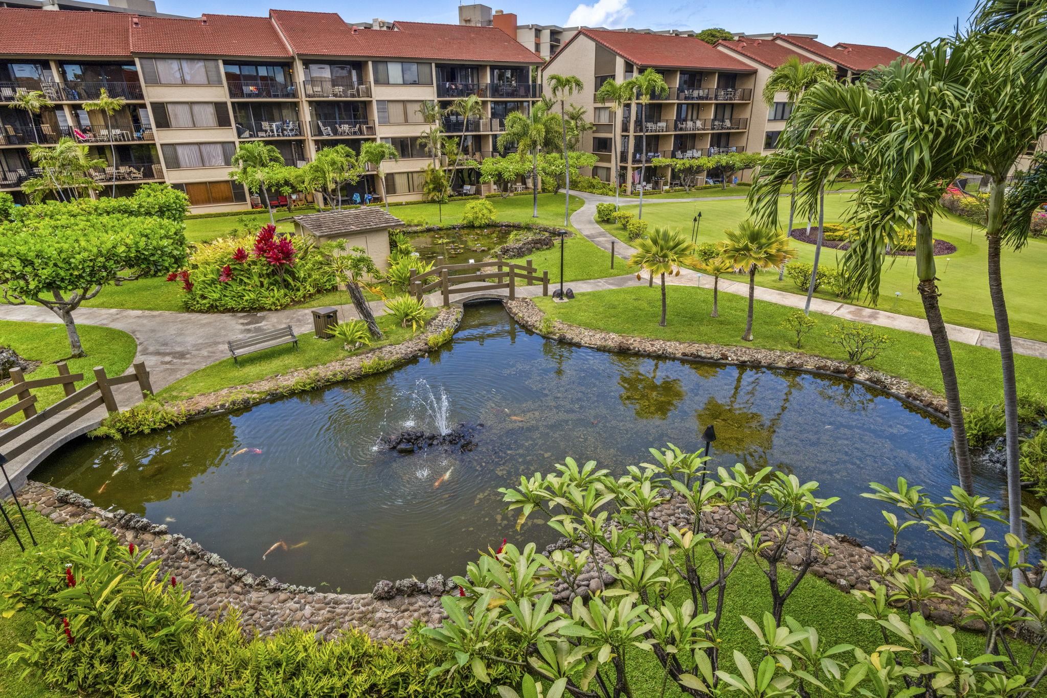 Papakea Resort I II condo # G302, Lahaina, Hawaii - photo 31 of 50