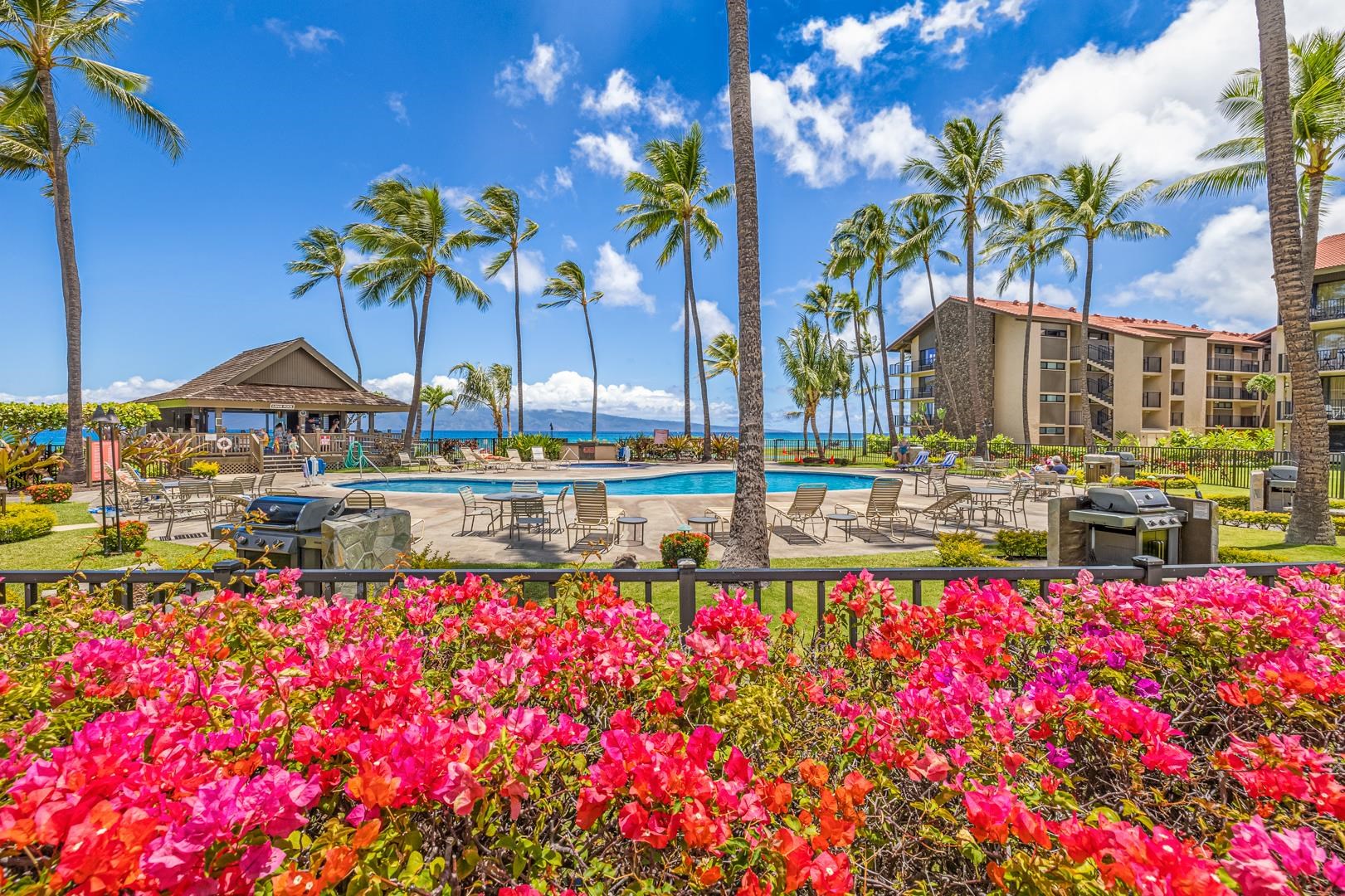 Papakea Resort I II condo # G307, Lahaina, Hawaii - photo 21 of 24