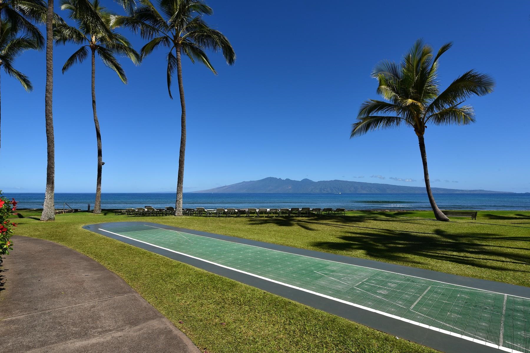 Papakea Resort I II condo # G405, Lahaina, Hawaii - photo 13 of 17