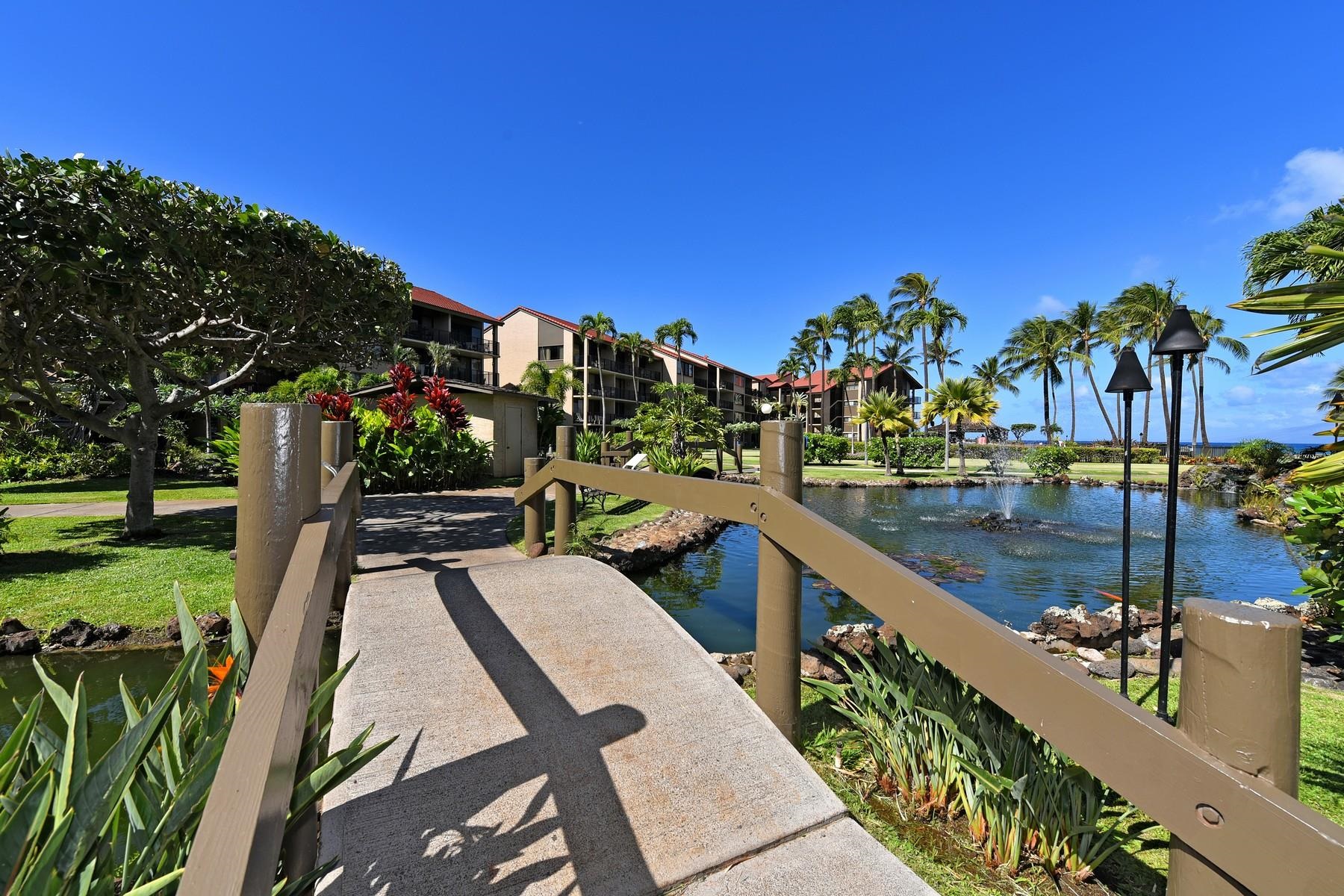 Papakea Resort I II condo # G405, Lahaina, Hawaii - photo 16 of 17