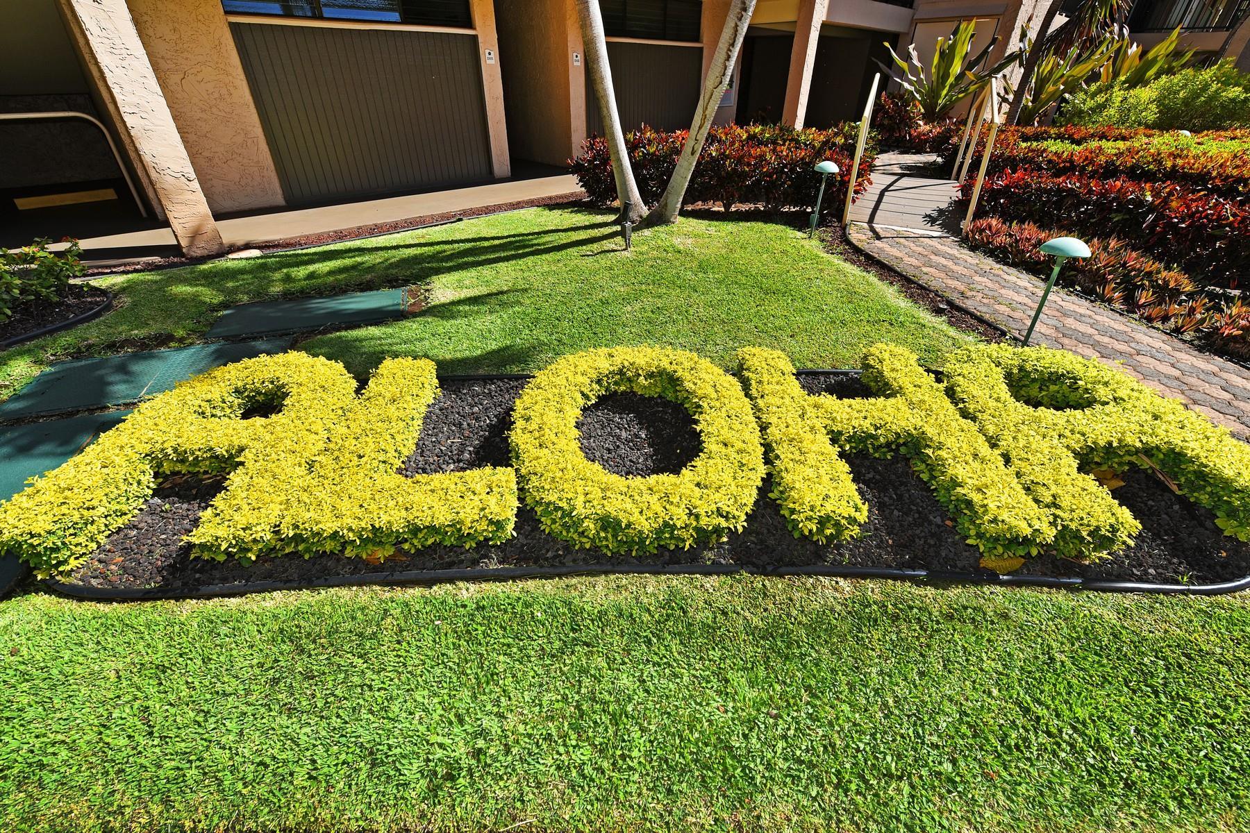 Papakea Resort I II condo # G405, Lahaina, Hawaii - photo 17 of 17