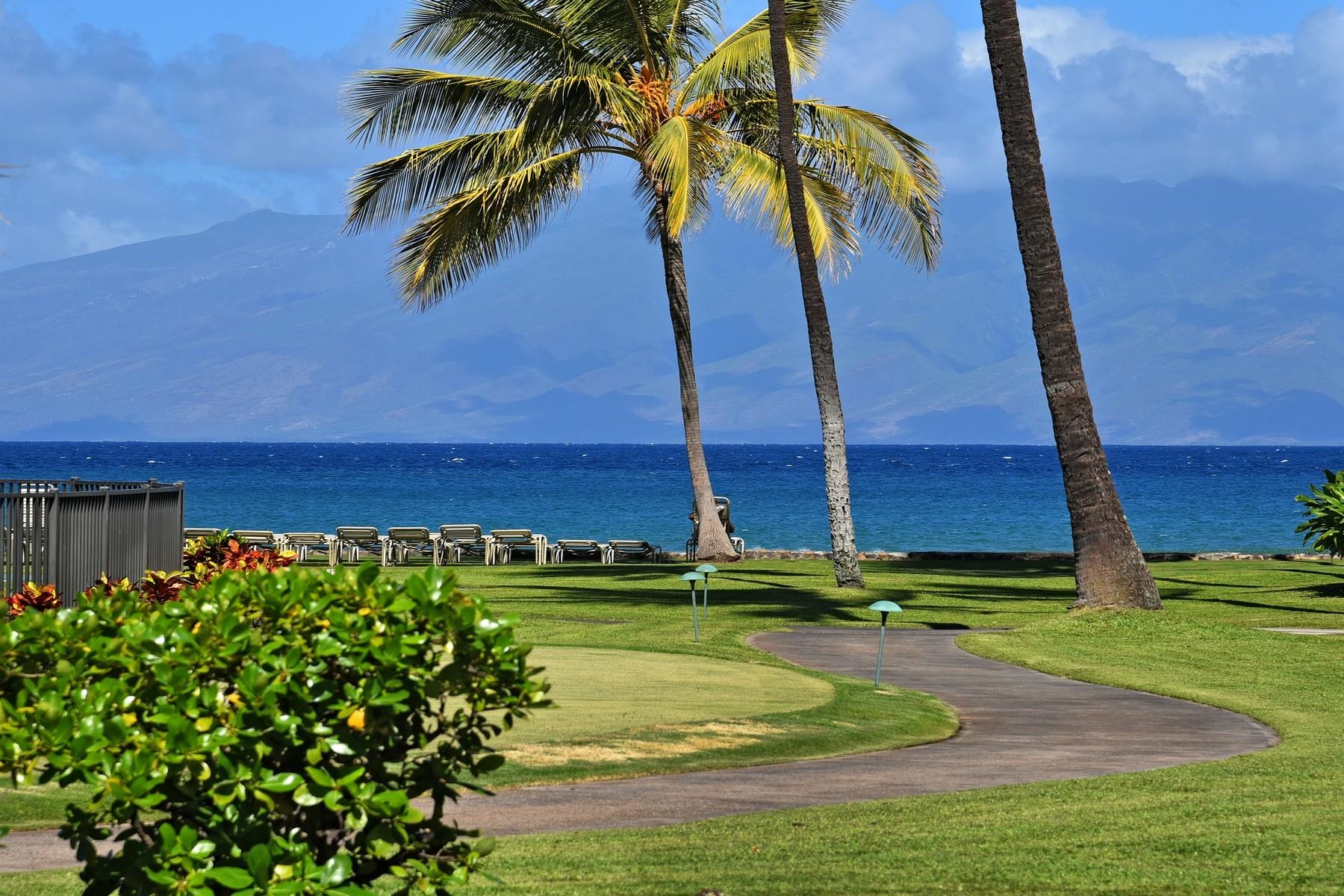 Papakea Resort I II condo # G405, Lahaina, Hawaii - photo 9 of 17