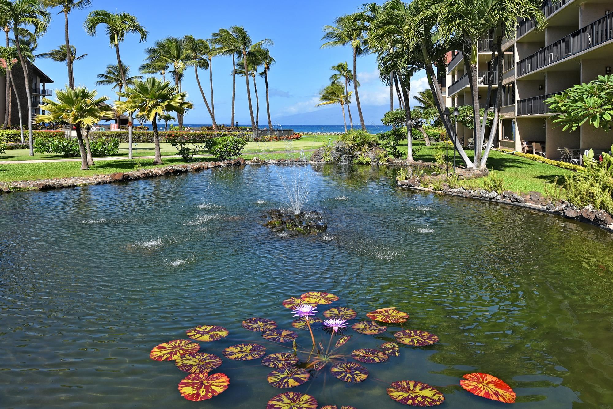 Papakea Resort I II condo # G407, Lahaina, Hawaii - photo 43 of 50