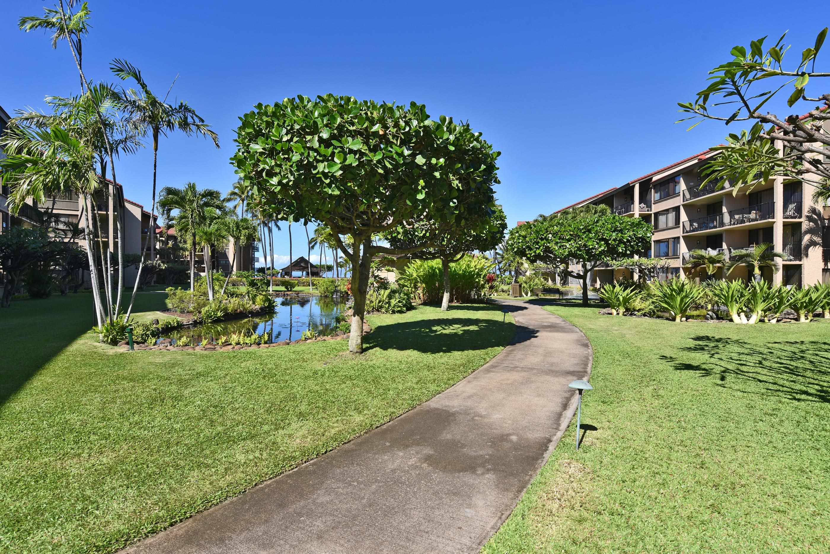 Papakea Resort I II condo # H103, Lahaina, Hawaii - photo 35 of 50
