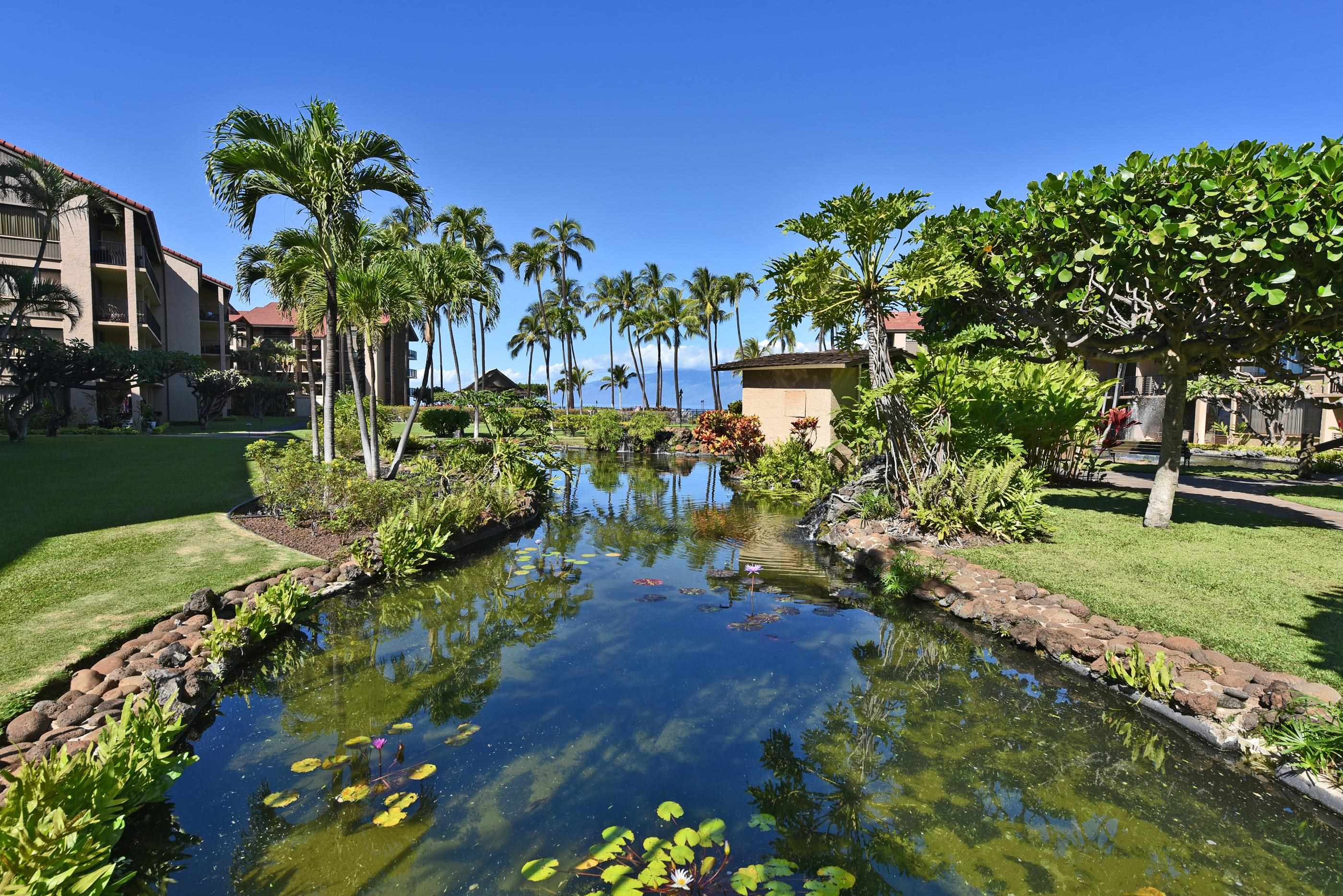 Papakea Resort I II condo # H103, Lahaina, Hawaii - photo 36 of 50