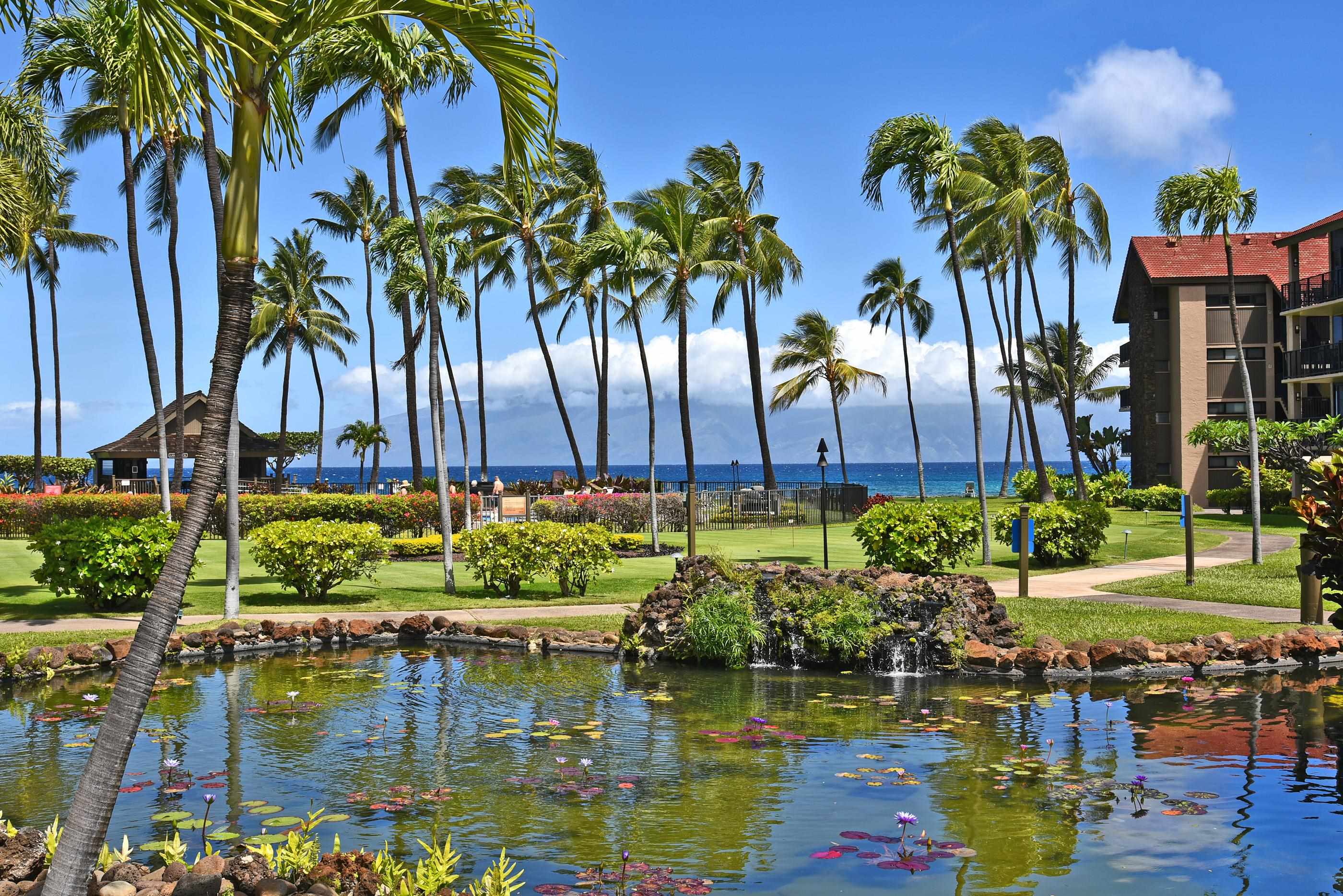 Papakea Resort I II condo # H103, Lahaina, Hawaii - photo 44 of 50