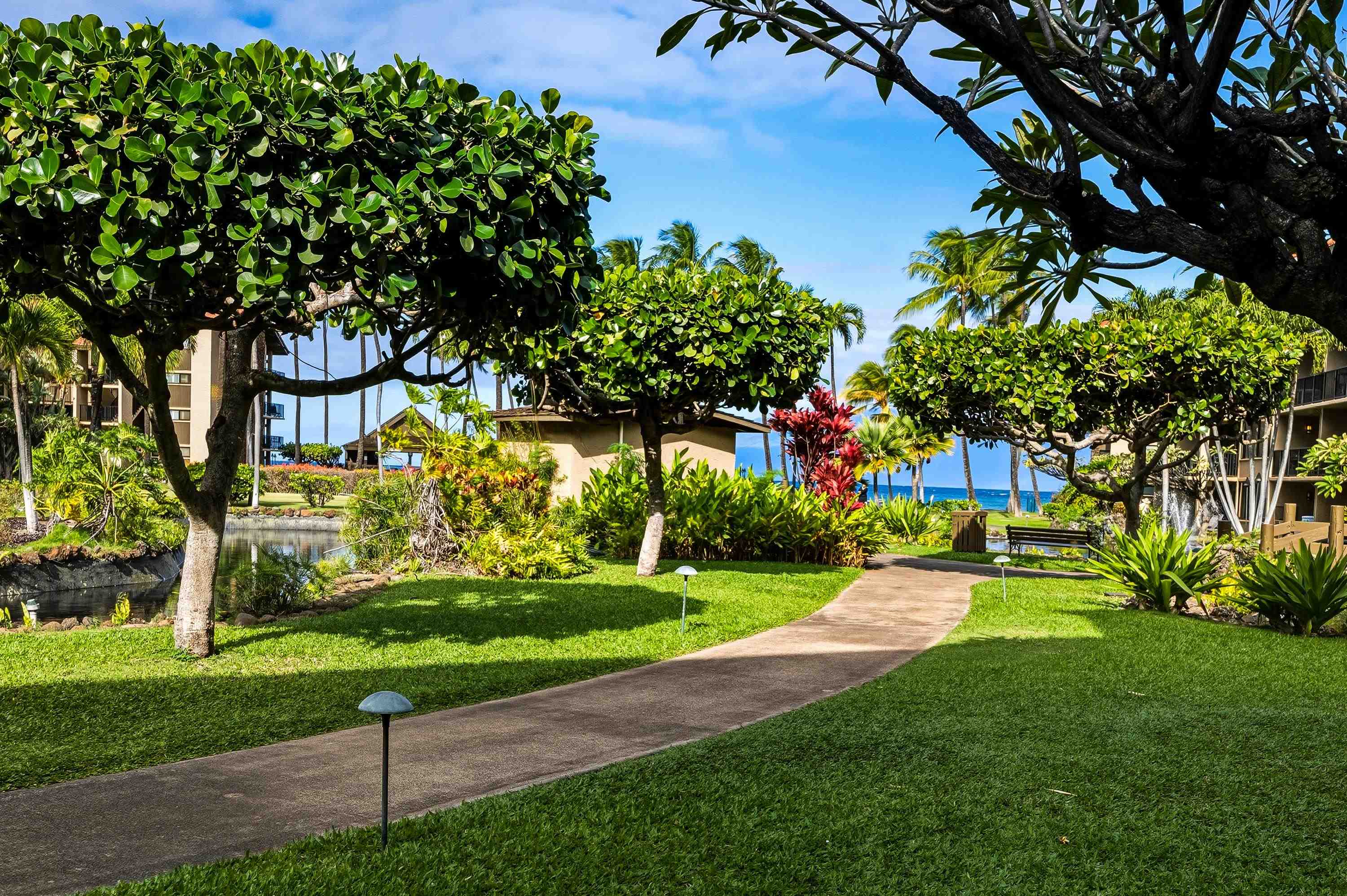 Papakea Resort I II condo # H103, Lahaina, Hawaii - photo 38 of 50