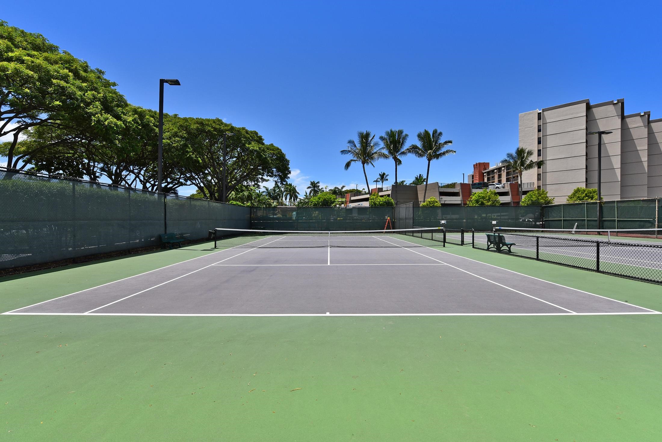 Papakea Resort I II condo # H103, Lahaina, Hawaii - photo 45 of 50