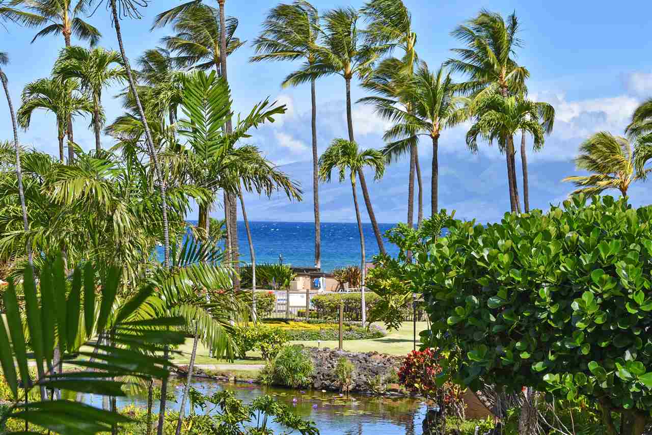 Papakea Resort I II condo # H201, Lahaina, Hawaii - photo 12 of 27