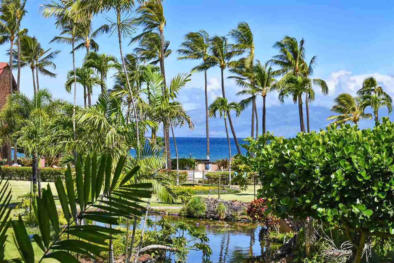 Papakea Resort I II condo # H201, Lahaina, Hawaii - photo 10 of 27
