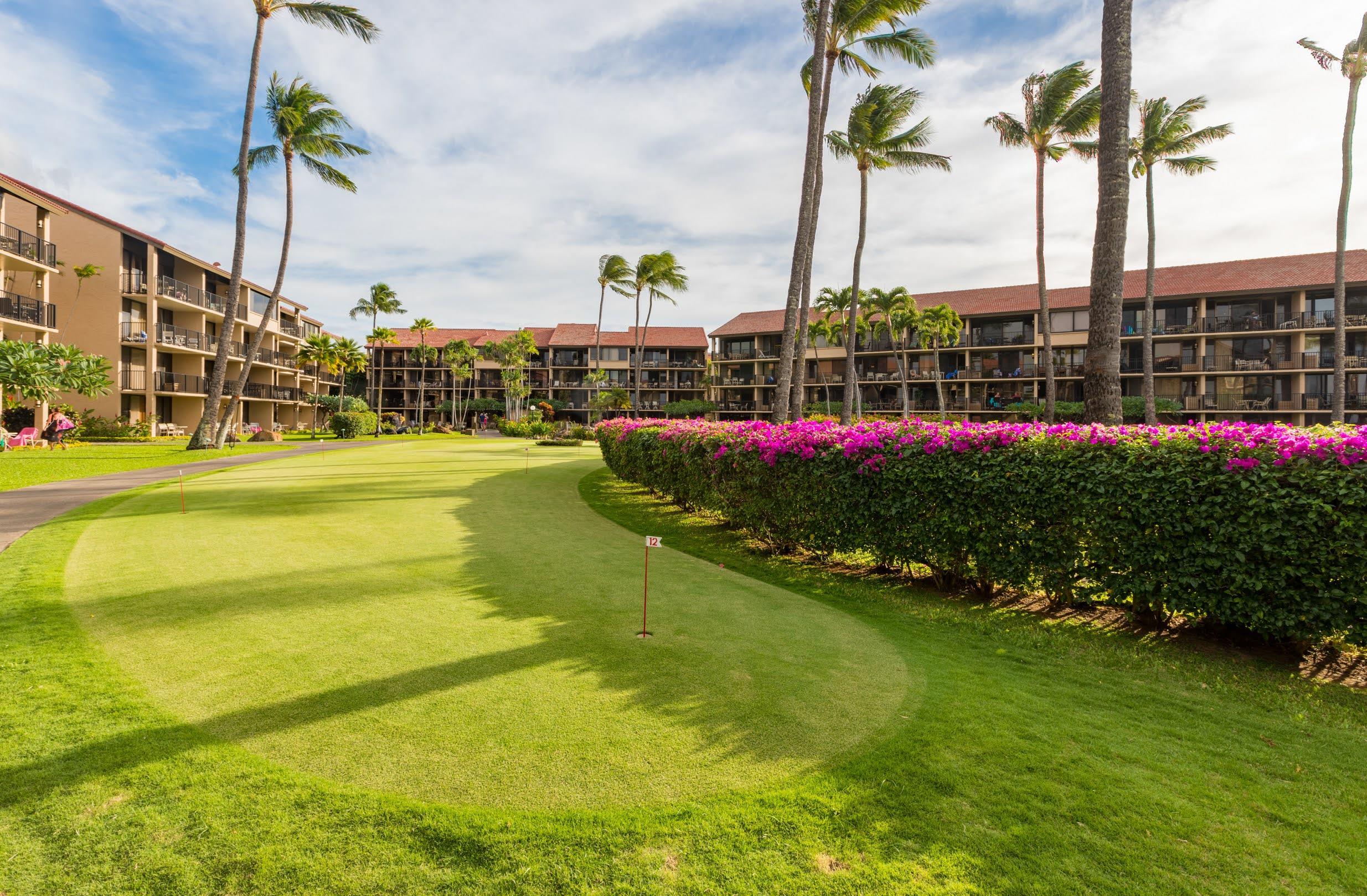 Papakea Resort I II condo # H201, Lahaina, Hawaii - photo 26 of 28