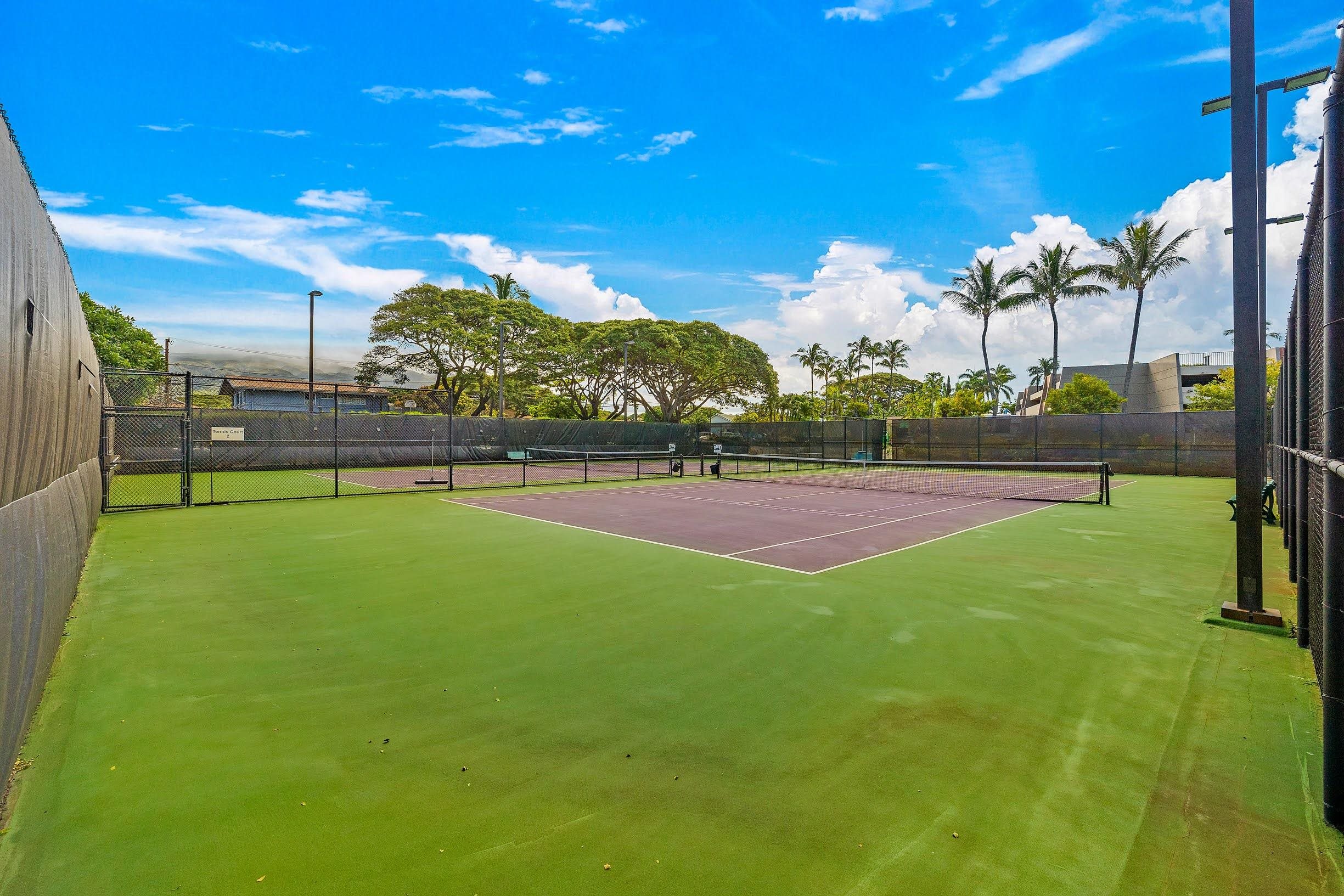 Papakea Resort I II condo # H201, Lahaina, Hawaii - photo 27 of 31