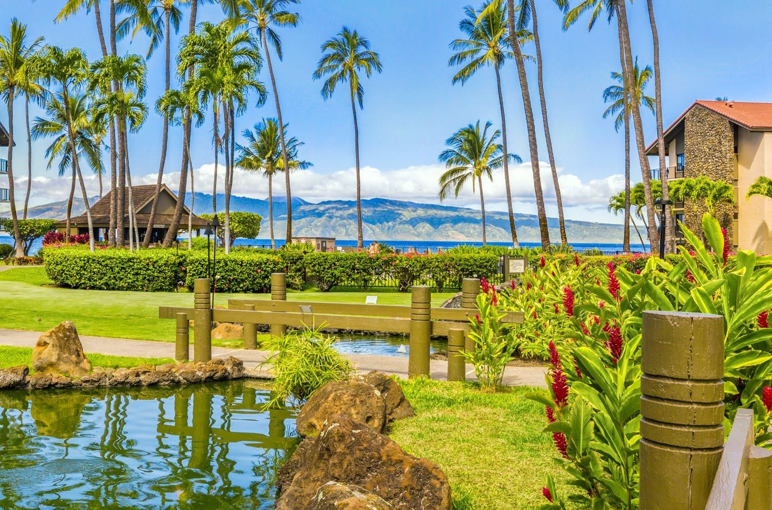 Papakea Resort I II condo # H201, Lahaina, Hawaii - photo 28 of 31