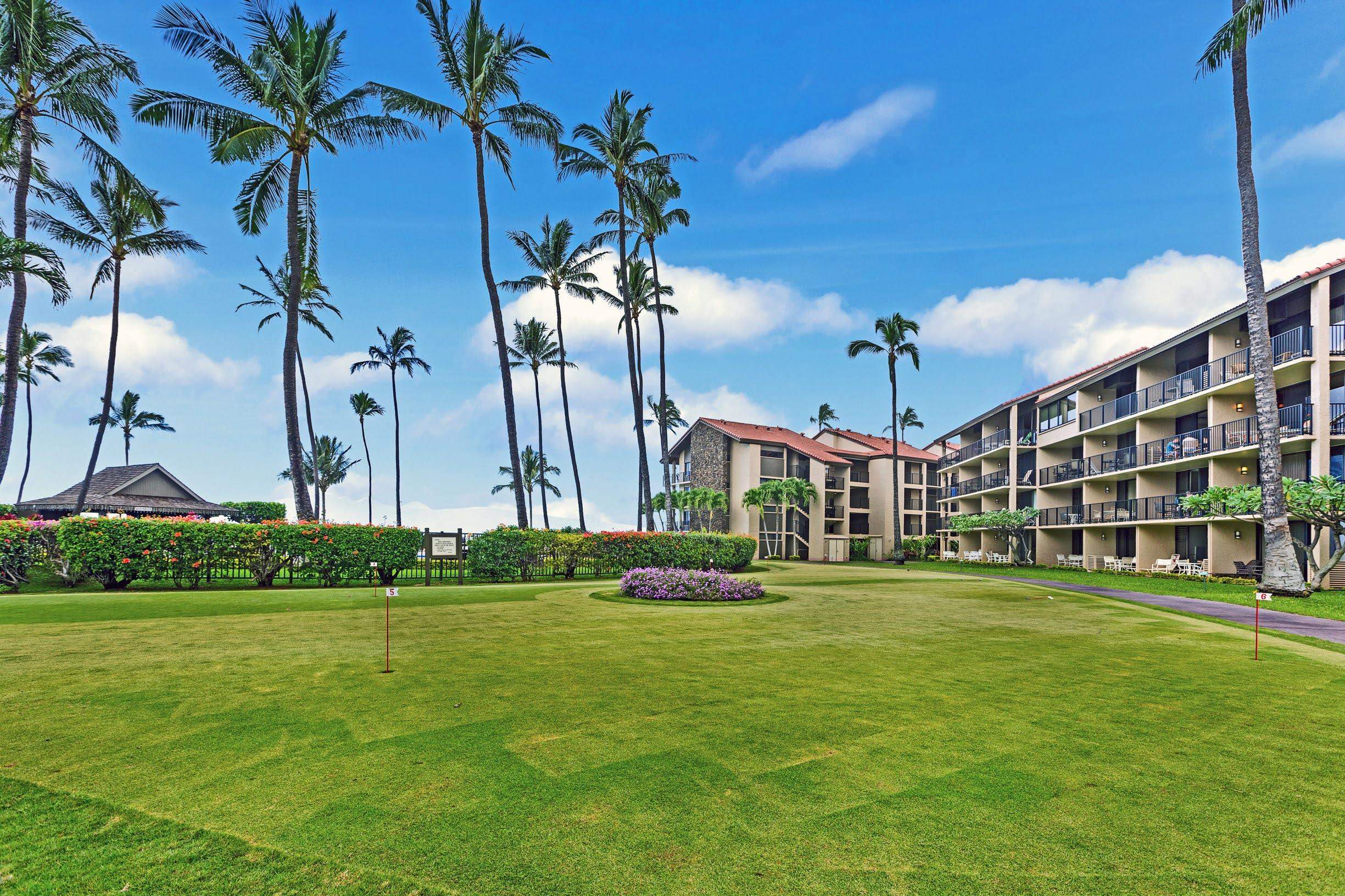 Papakea Resort I II condo # H201, Lahaina, Hawaii - photo 29 of 31