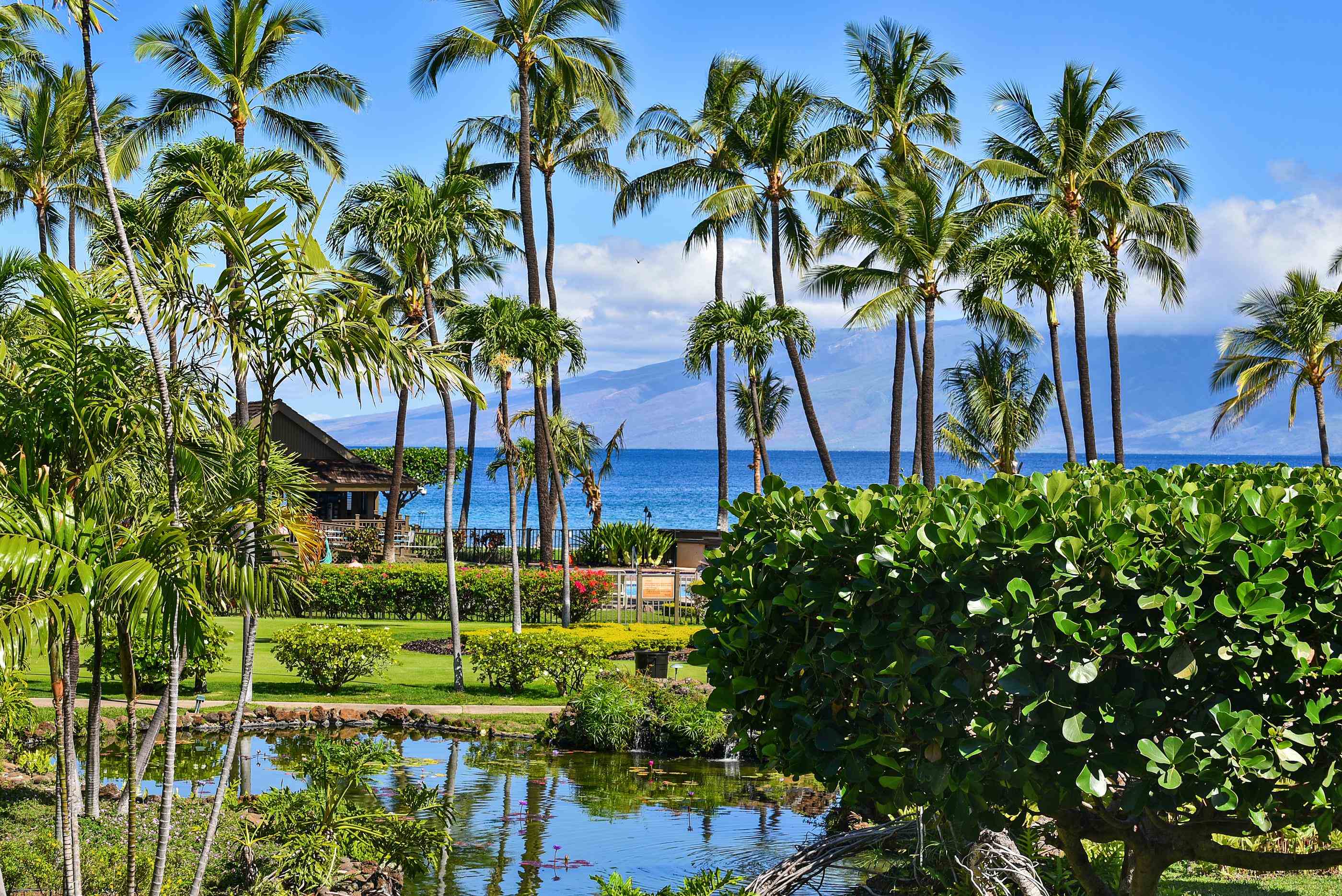 Papakea Resort I II condo # H202, Lahaina, Hawaii - photo 15 of 29