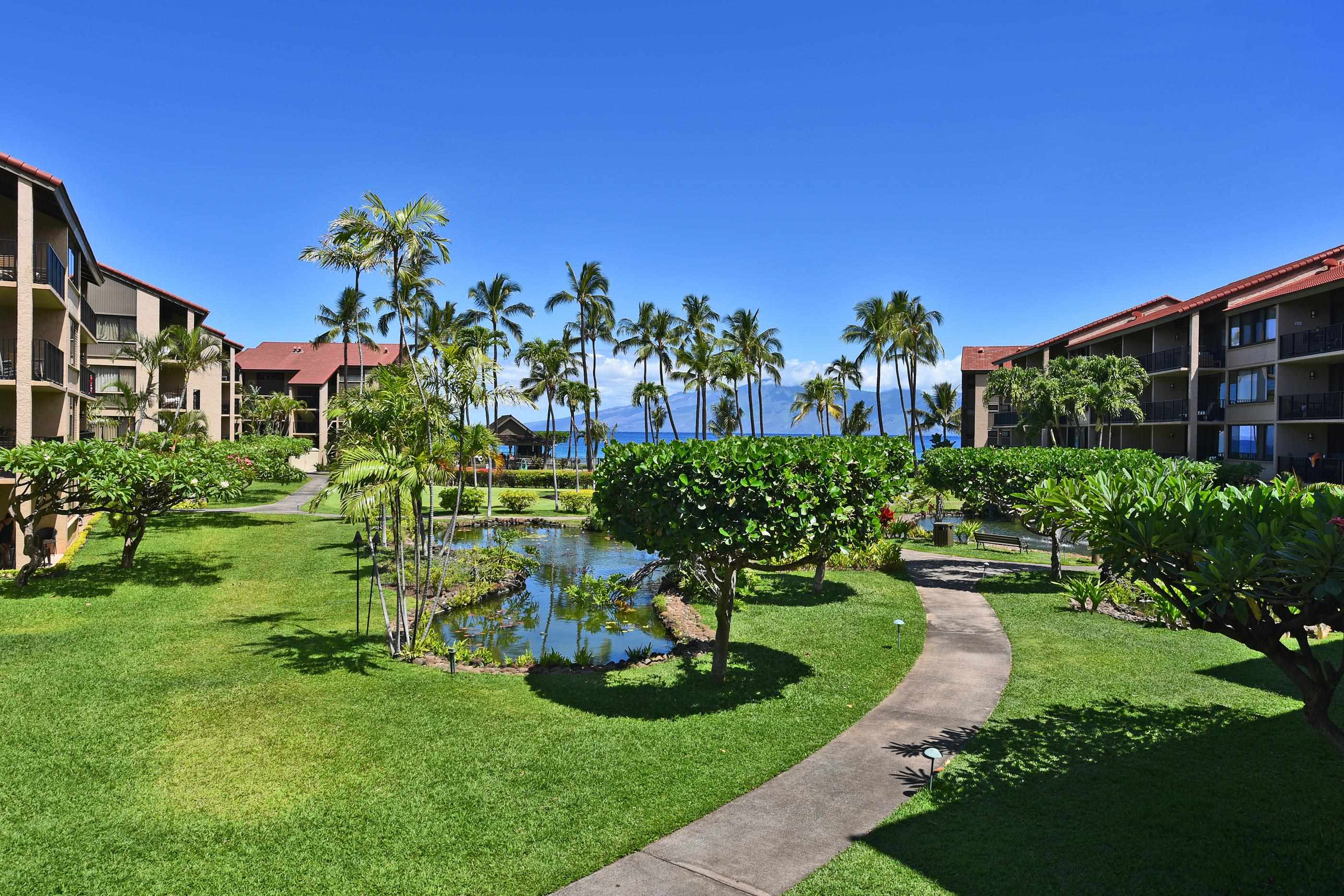 Papakea Resort I II condo # H202, Lahaina, Hawaii - photo 23 of 29