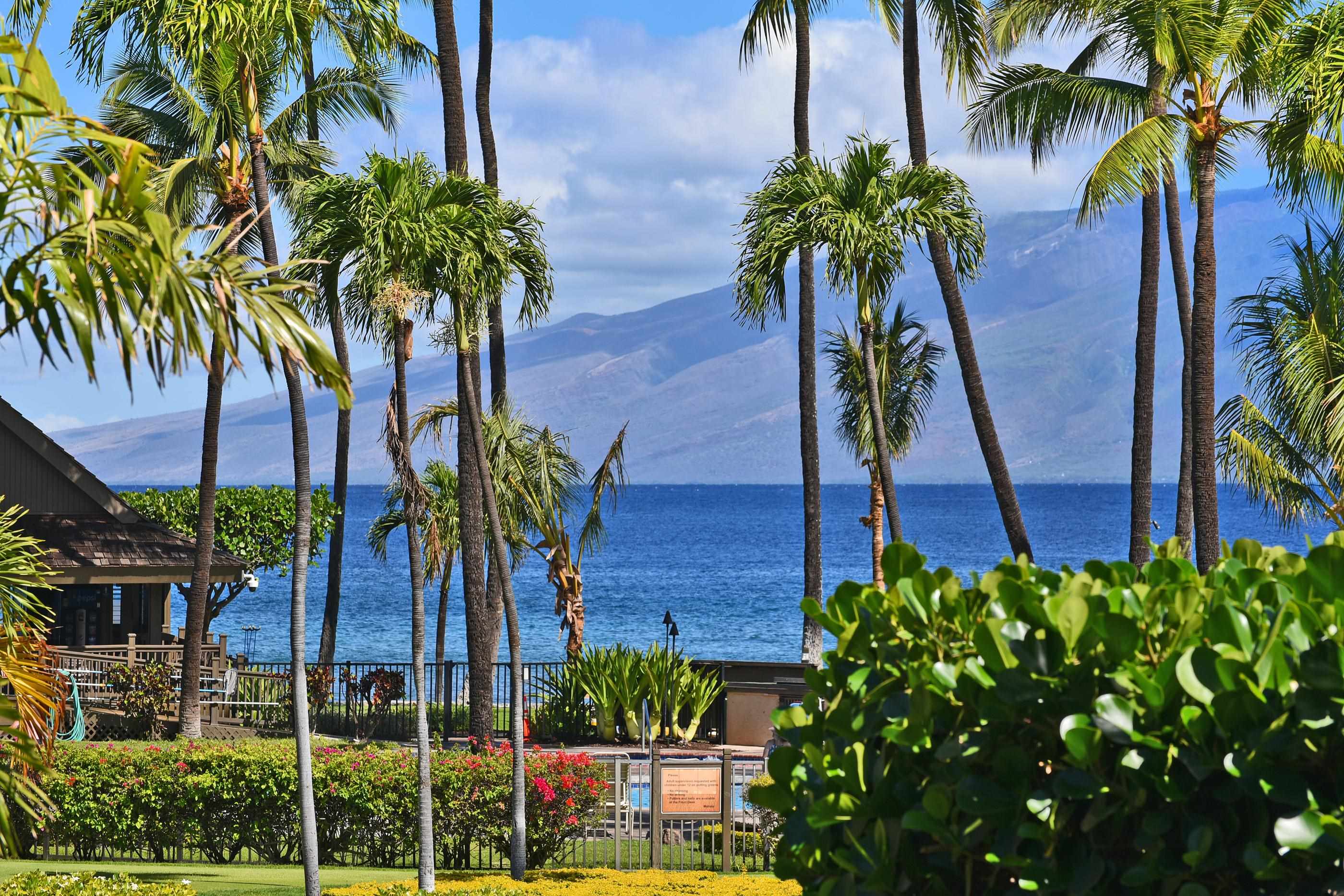 Papakea Resort I II condo # H202, Lahaina, Hawaii - photo 24 of 29