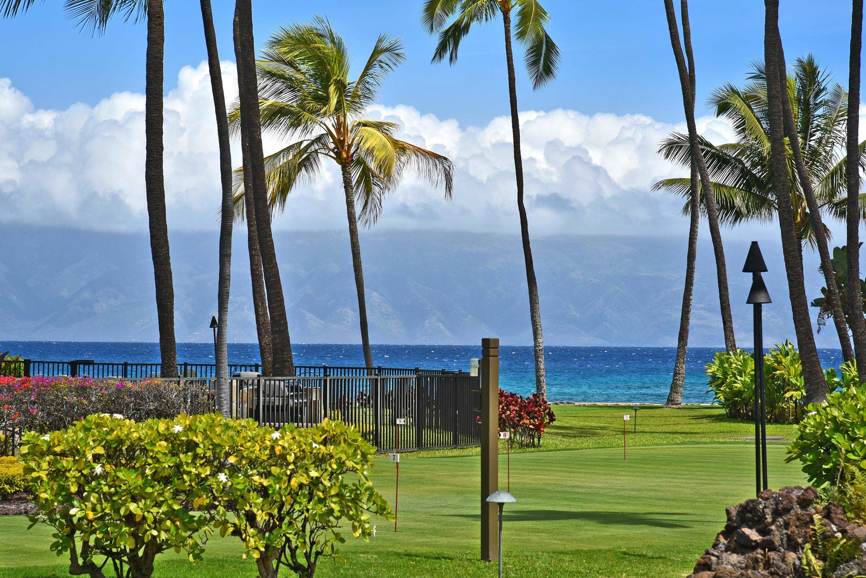 Papakea Resort I II condo # H202, Lahaina, Hawaii - photo 26 of 29
