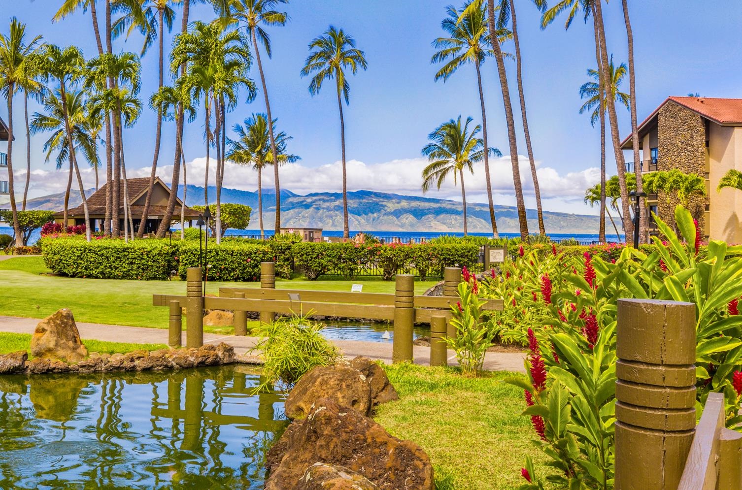 Papakea Resort I II condo # H202, Lahaina, Hawaii - photo 28 of 29