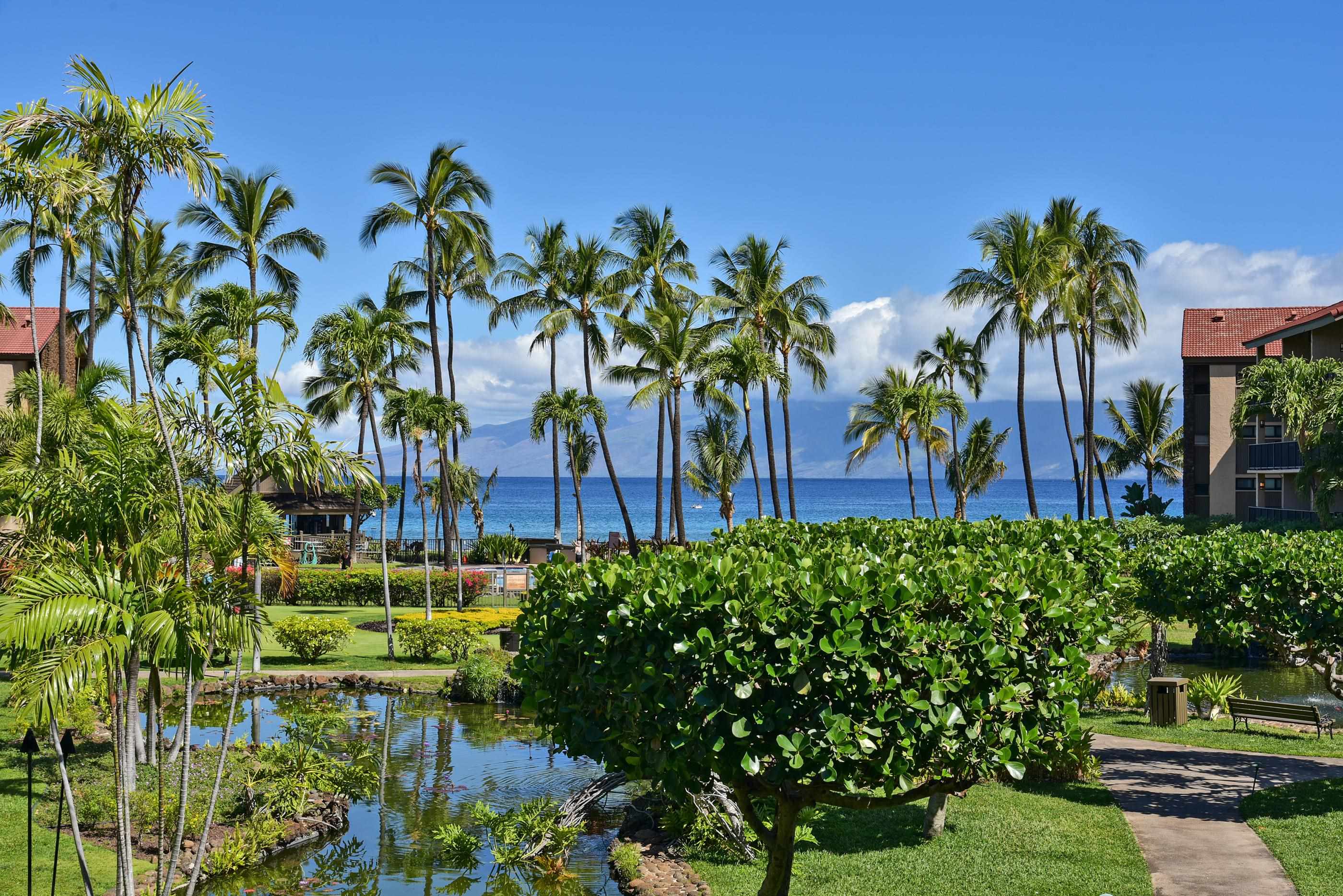 Papakea Resort I II condo # H202, Lahaina, Hawaii - photo 4 of 29