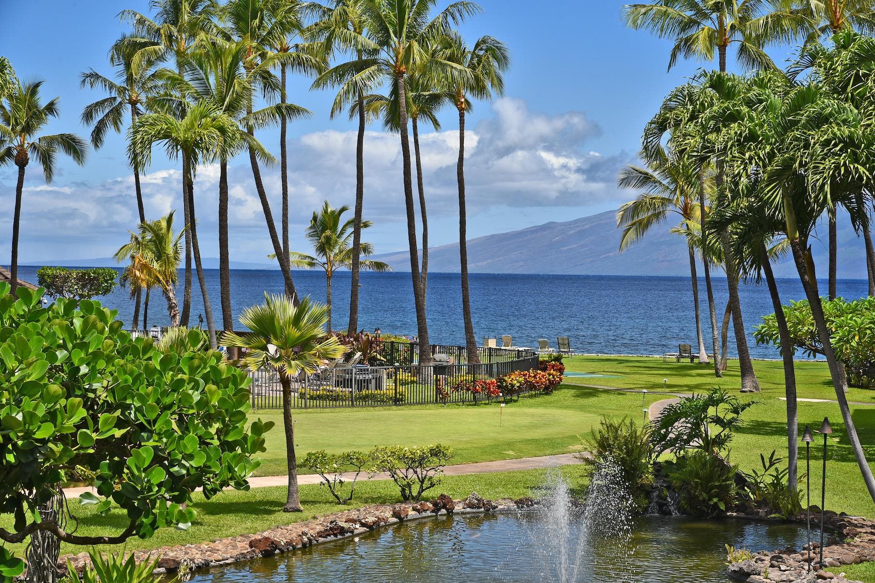 Papakea Resort I II condo # H205, Lahaina, Hawaii - photo 21 of 31