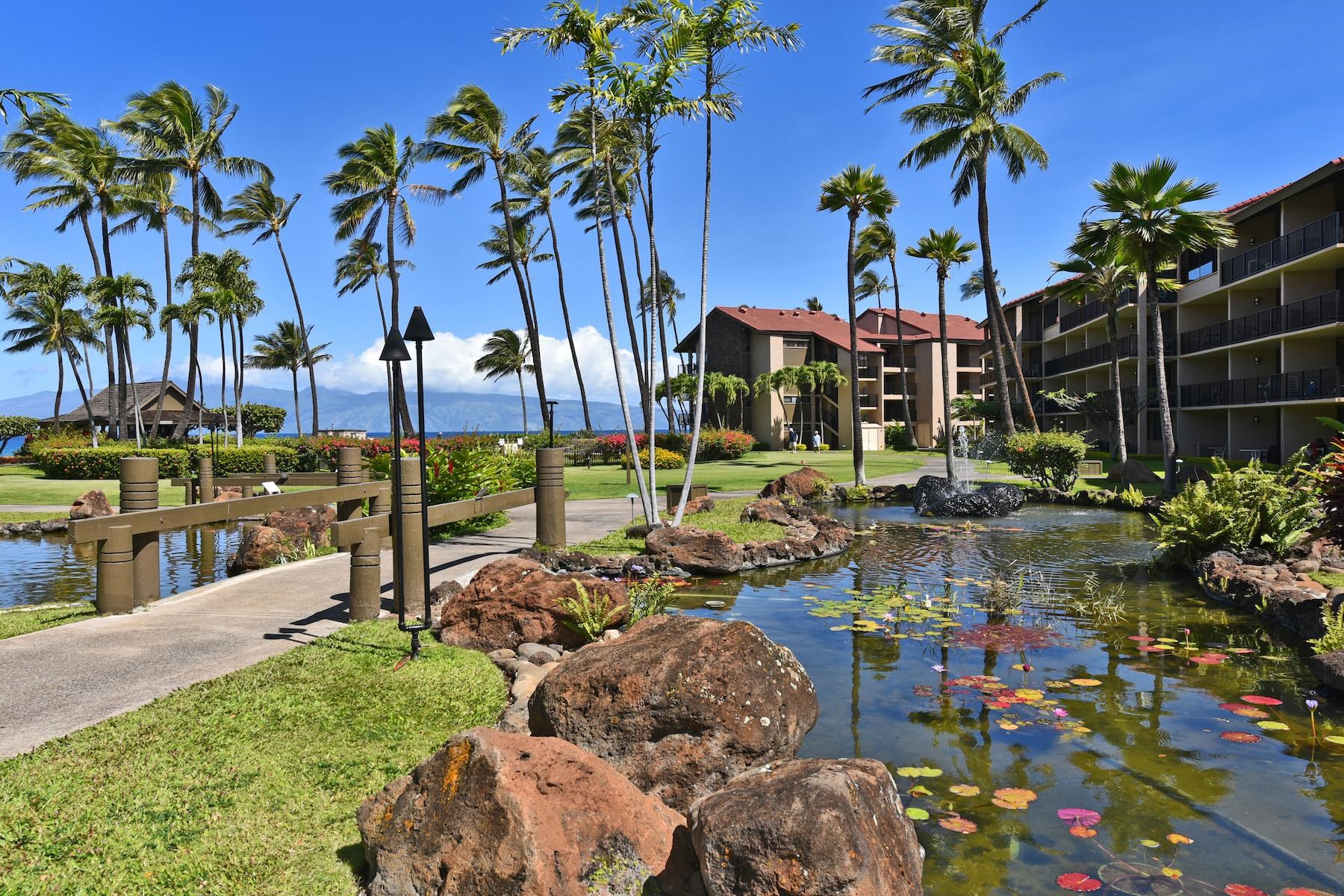 Papakea Resort I II condo # H205, Lahaina, Hawaii - photo 22 of 31