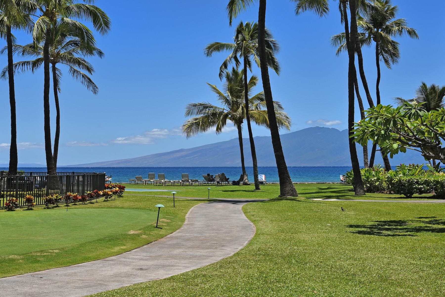 Papakea Resort I II condo # H205, Lahaina, Hawaii - photo 23 of 31