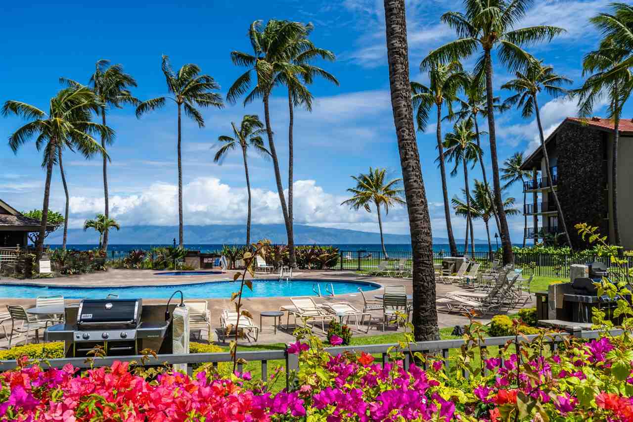 Papakea Resort I II condo # H404, Lahaina, Hawaii - photo 18 of 23