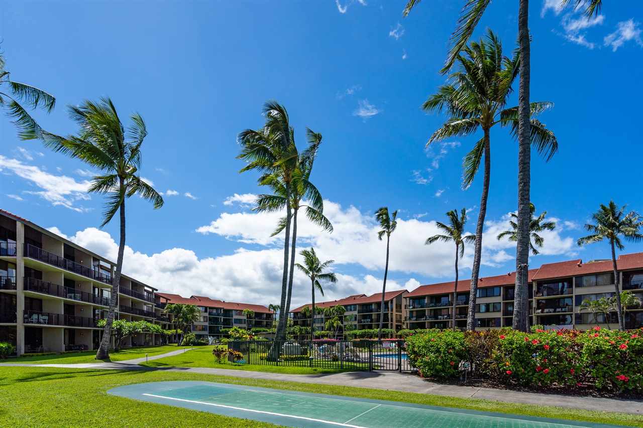 Papakea Resort I II condo # H404, Lahaina, Hawaii - photo 20 of 23