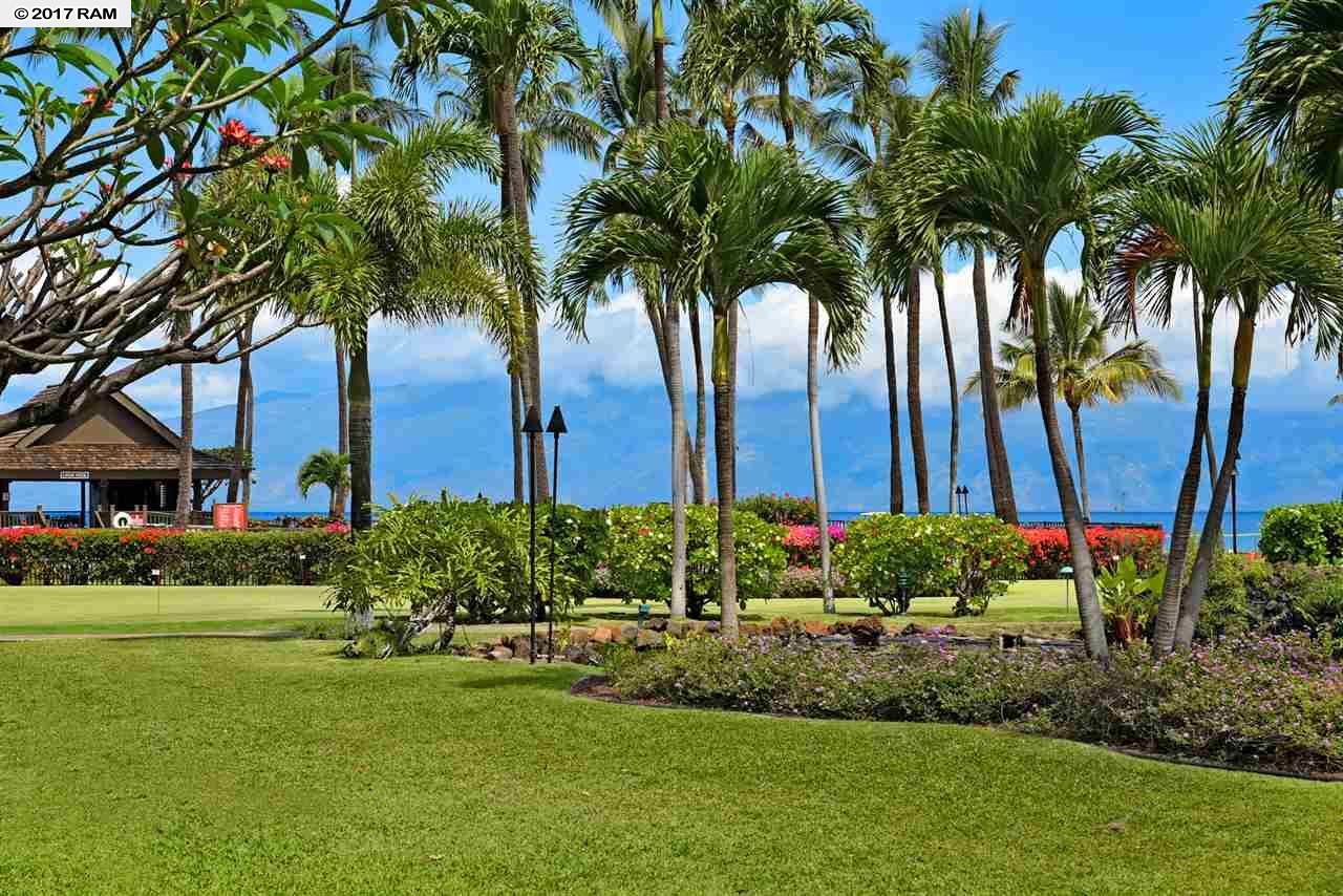 Papakea Resort I II condo # J-105, Lahaina, Hawaii - photo 30 of 30