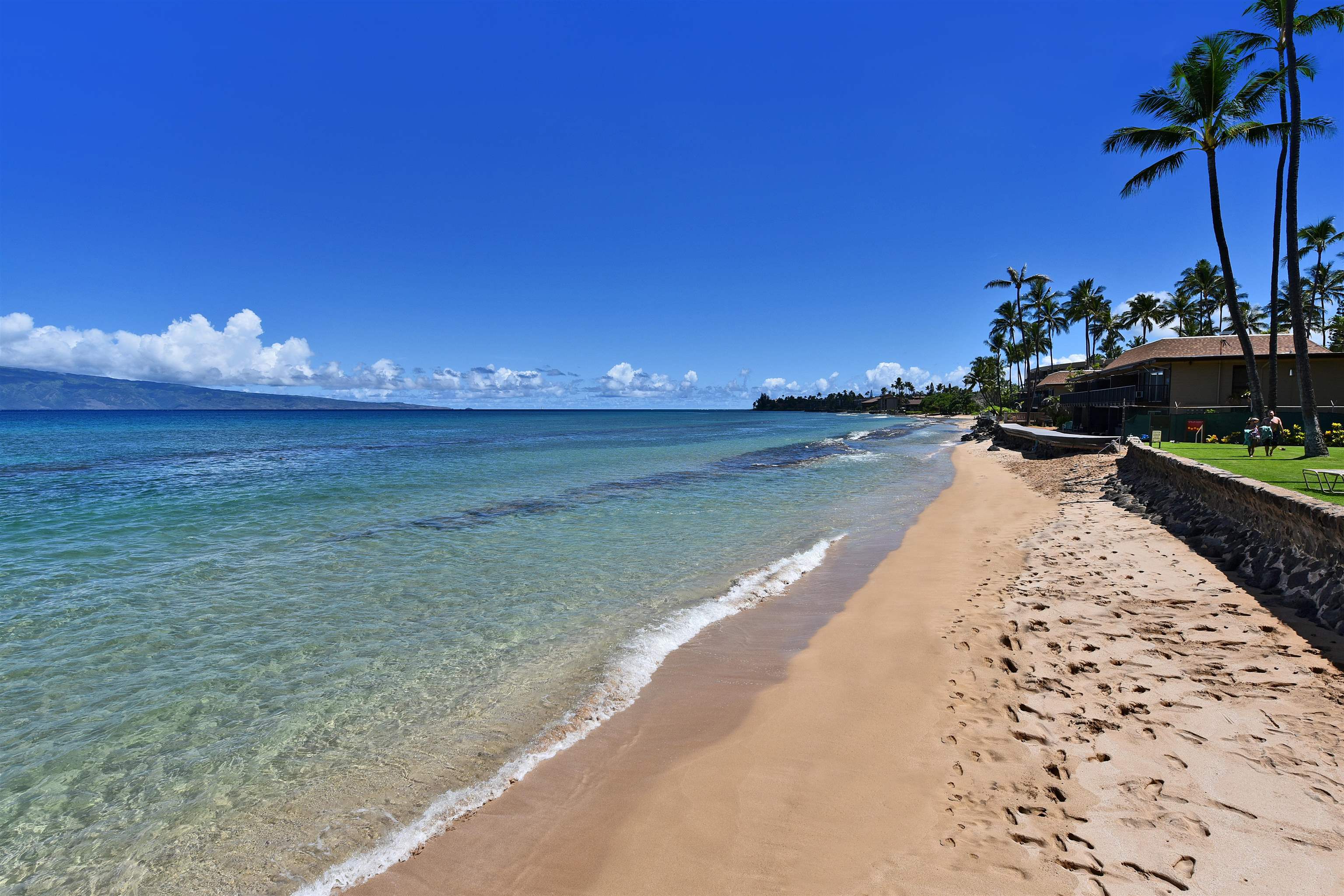 Papakea Resort I II condo # J105, Lahaina, Hawaii - photo 47 of 49