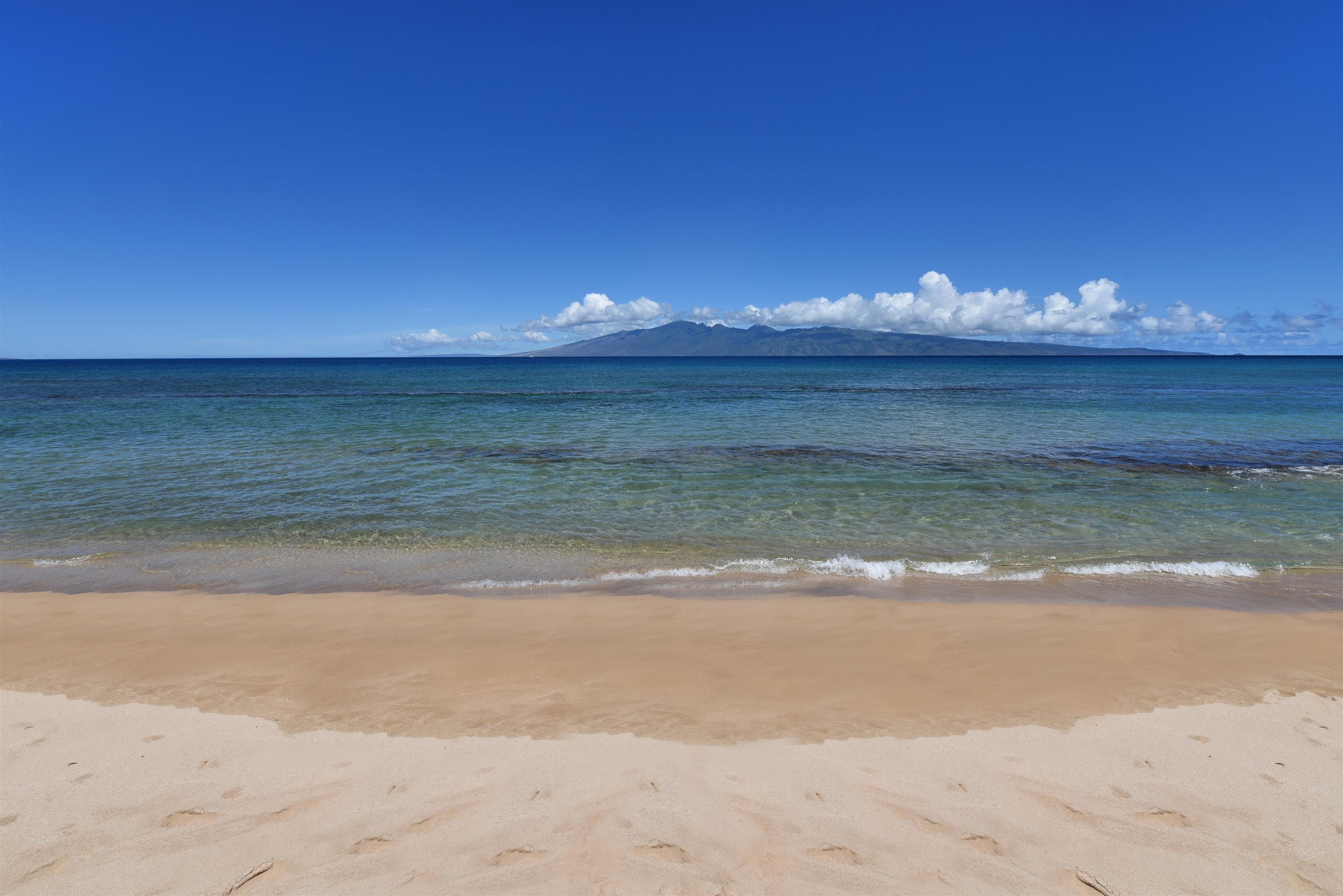 Papakea Resort I II condo # J105, Lahaina, Hawaii - photo 49 of 49