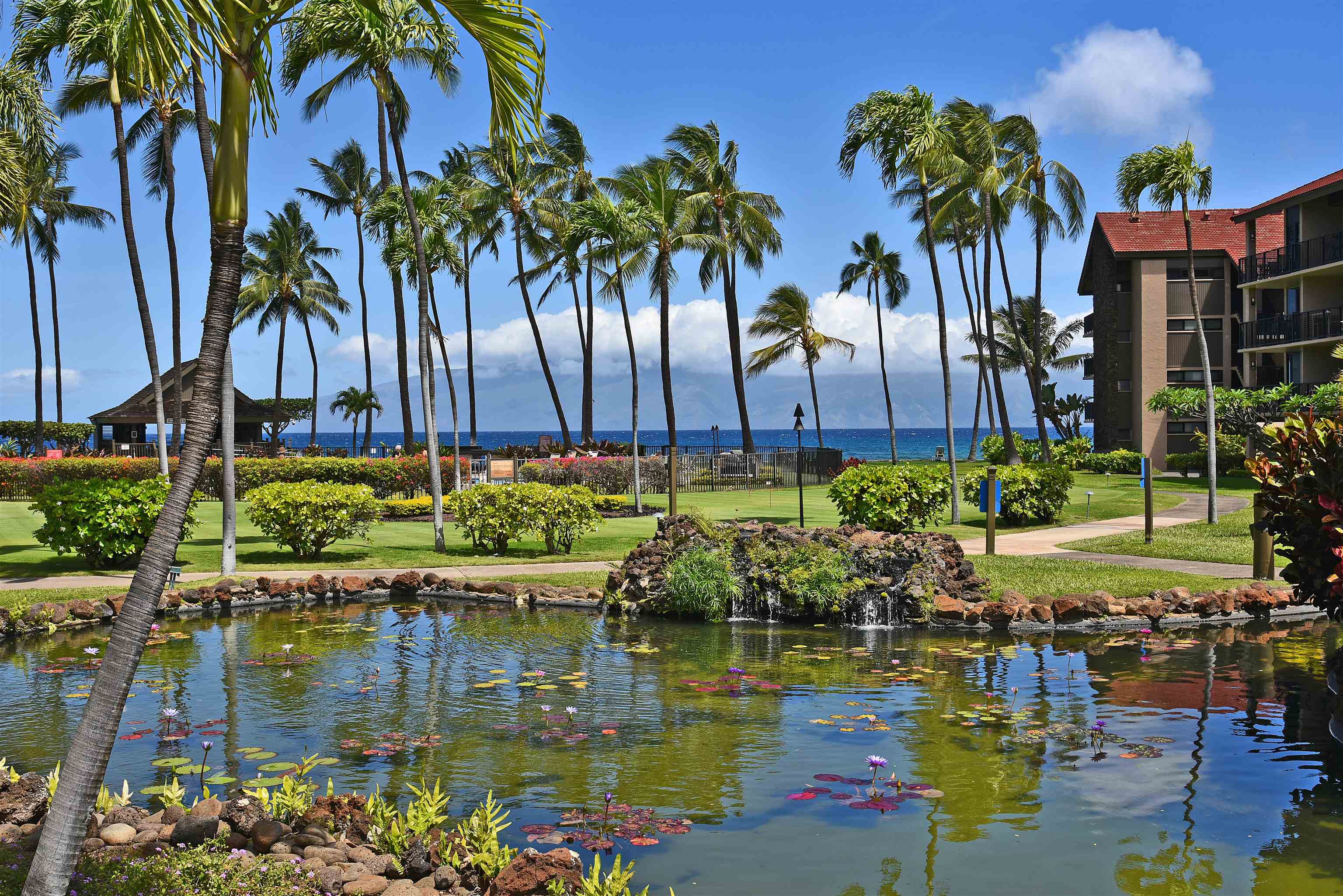 Papakea Resort I II condo # J105, Lahaina, Hawaii - photo 6 of 49