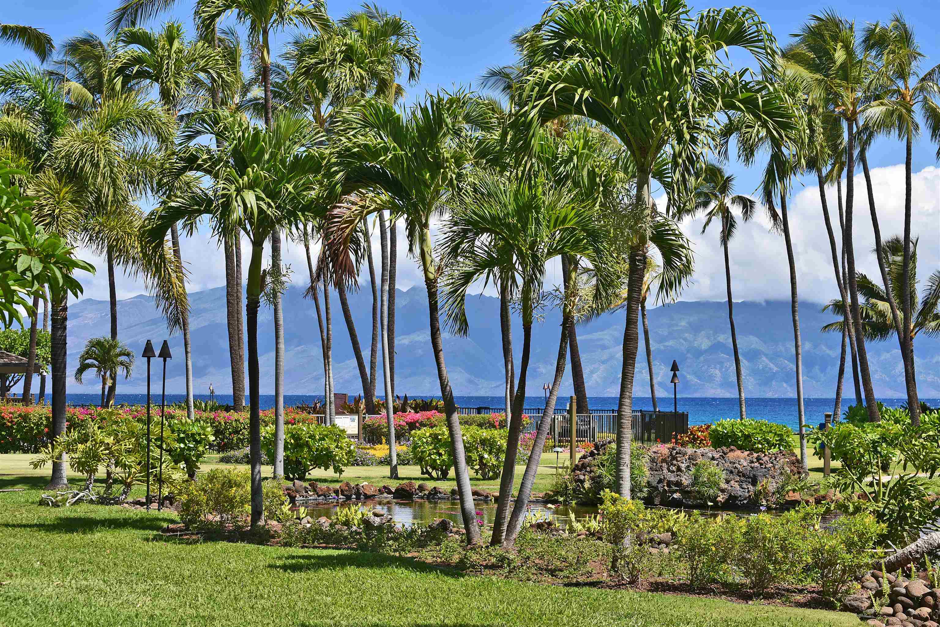 Papakea Resort I II condo # J105, Lahaina, Hawaii - photo 2 of 50