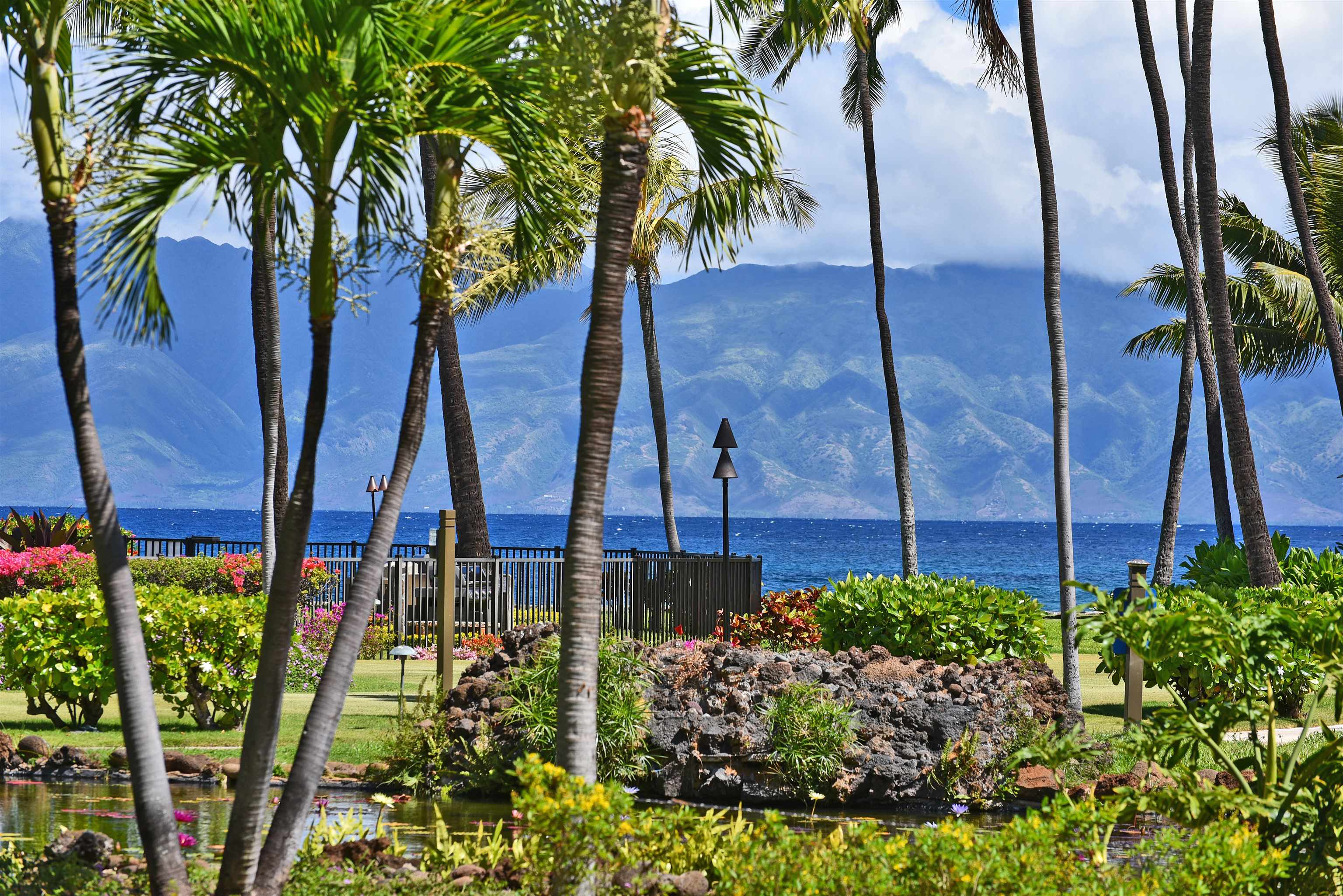 Papakea Resort I II condo # J105, Lahaina, Hawaii - photo 3 of 50