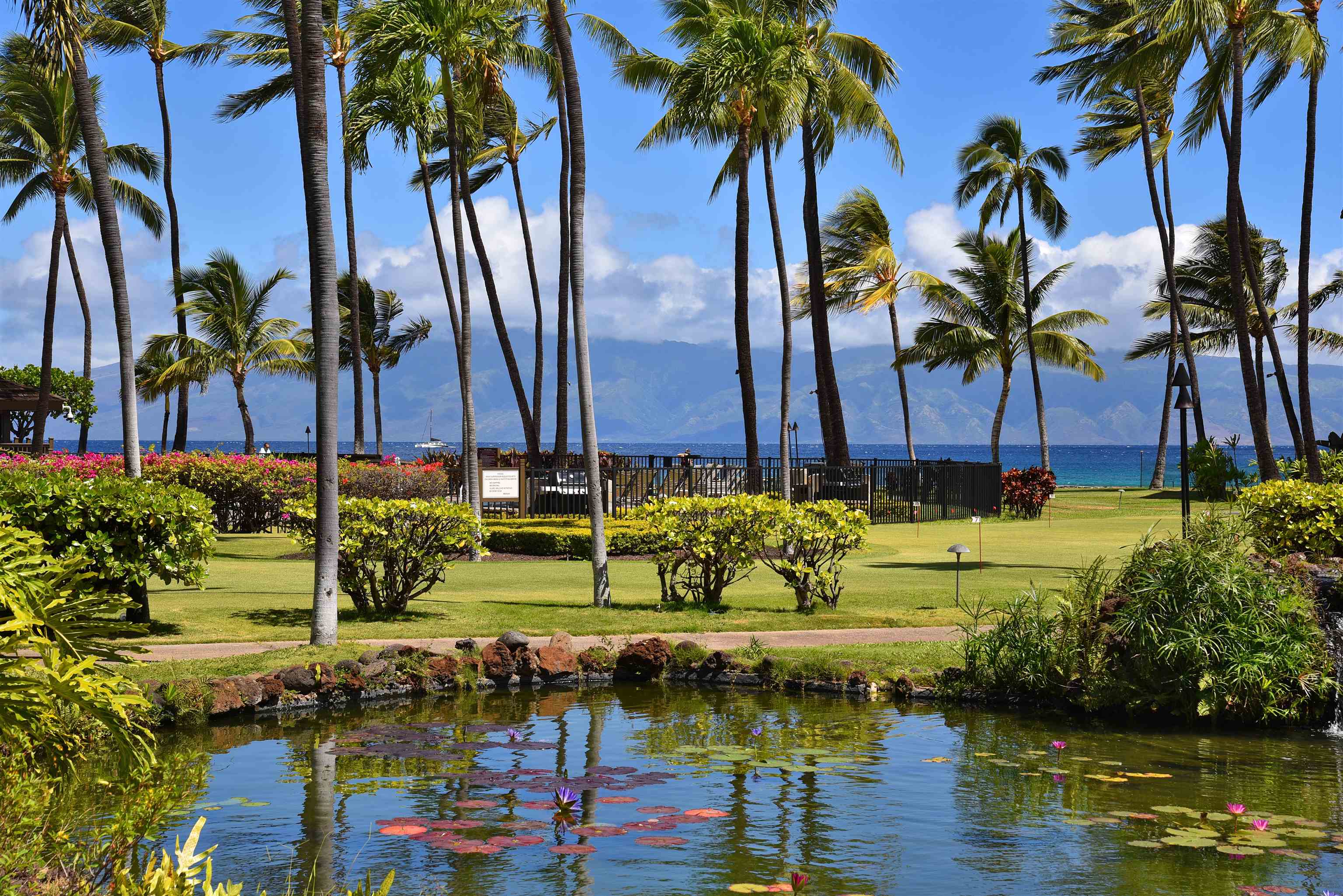 Papakea Resort I II condo # J105, Lahaina, Hawaii - photo 4 of 50