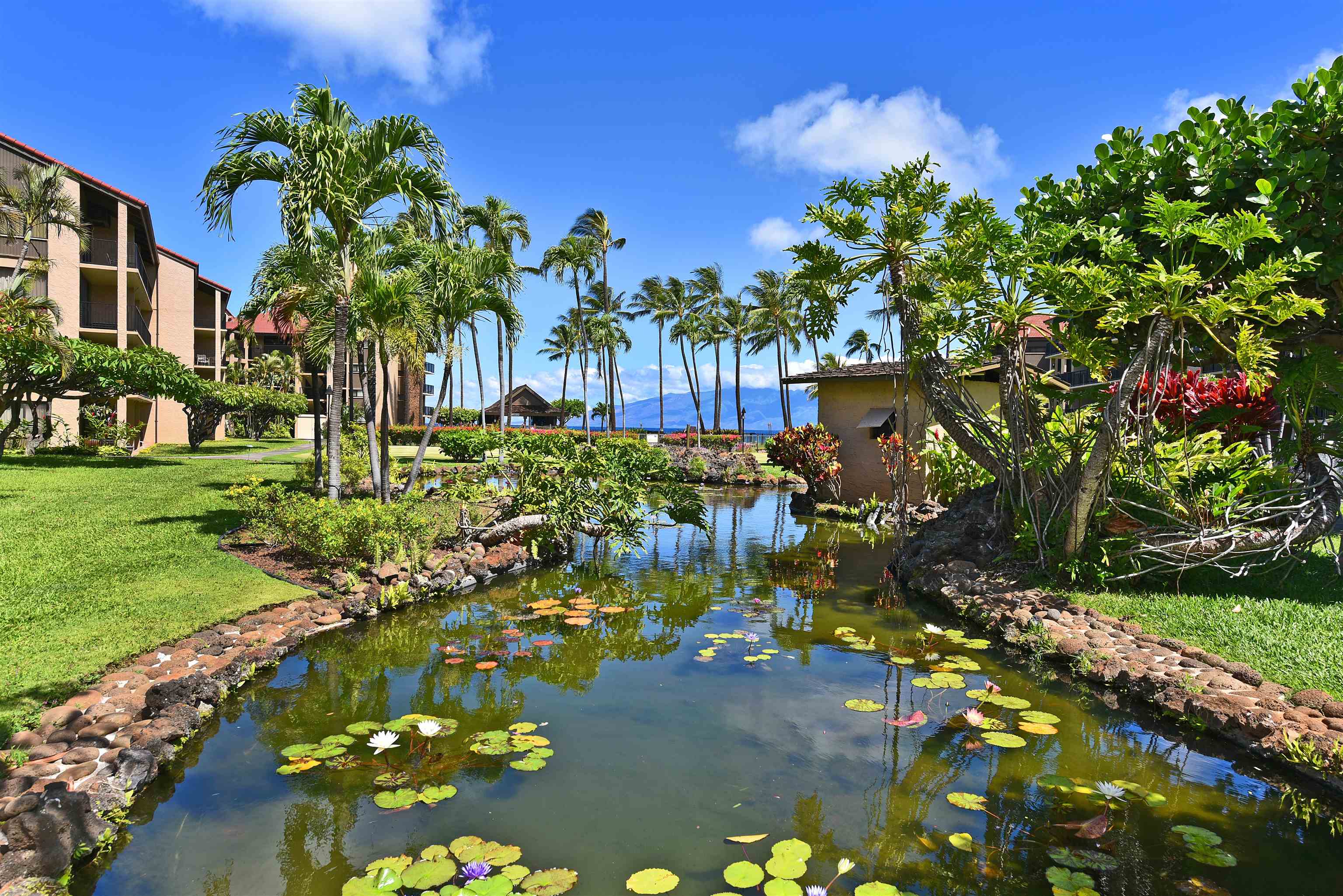 Papakea Resort I II condo # J105, Lahaina, Hawaii - photo 40 of 50